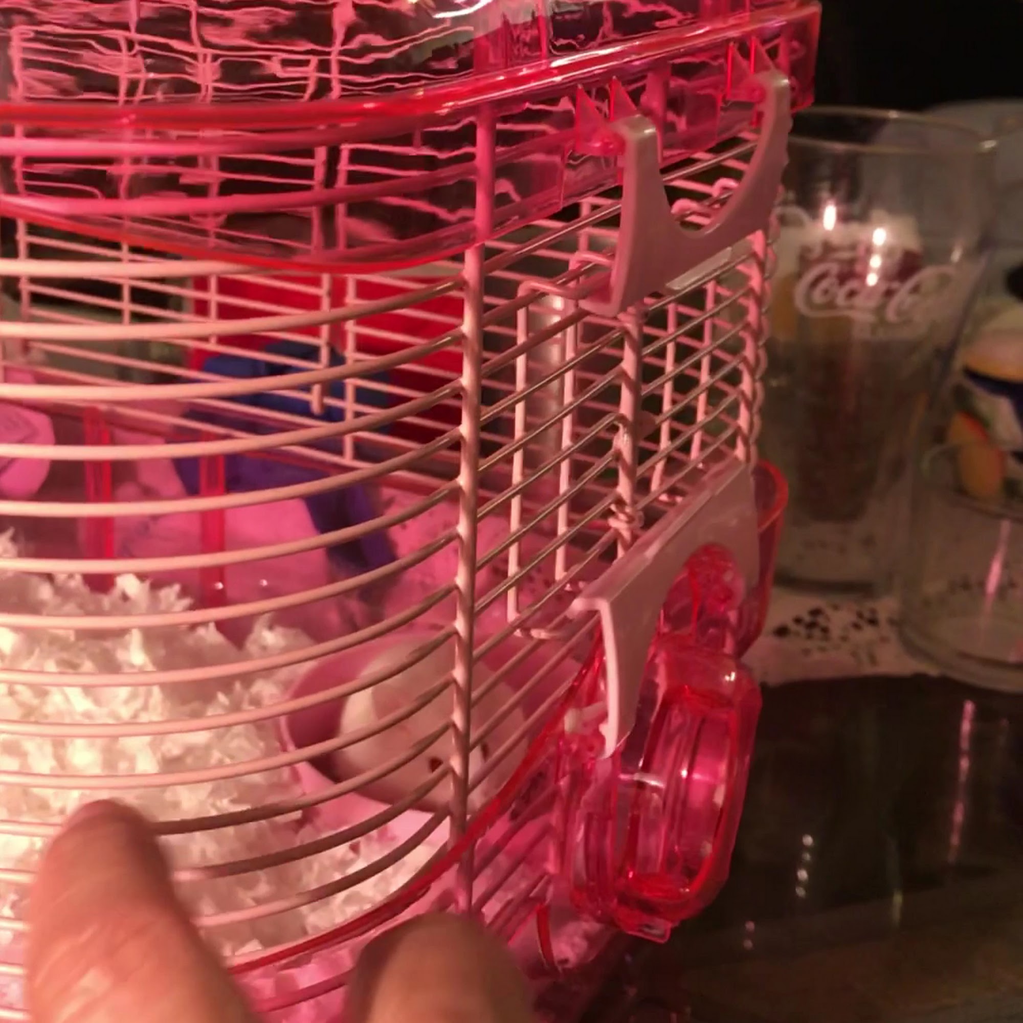 SPCA for Monterey County Veterinary Clinic Salinas