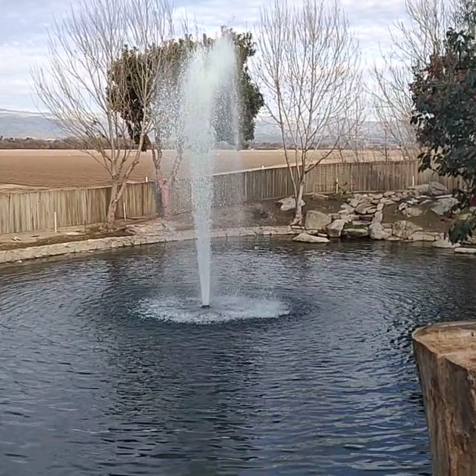 Pessagno Winery Salinas