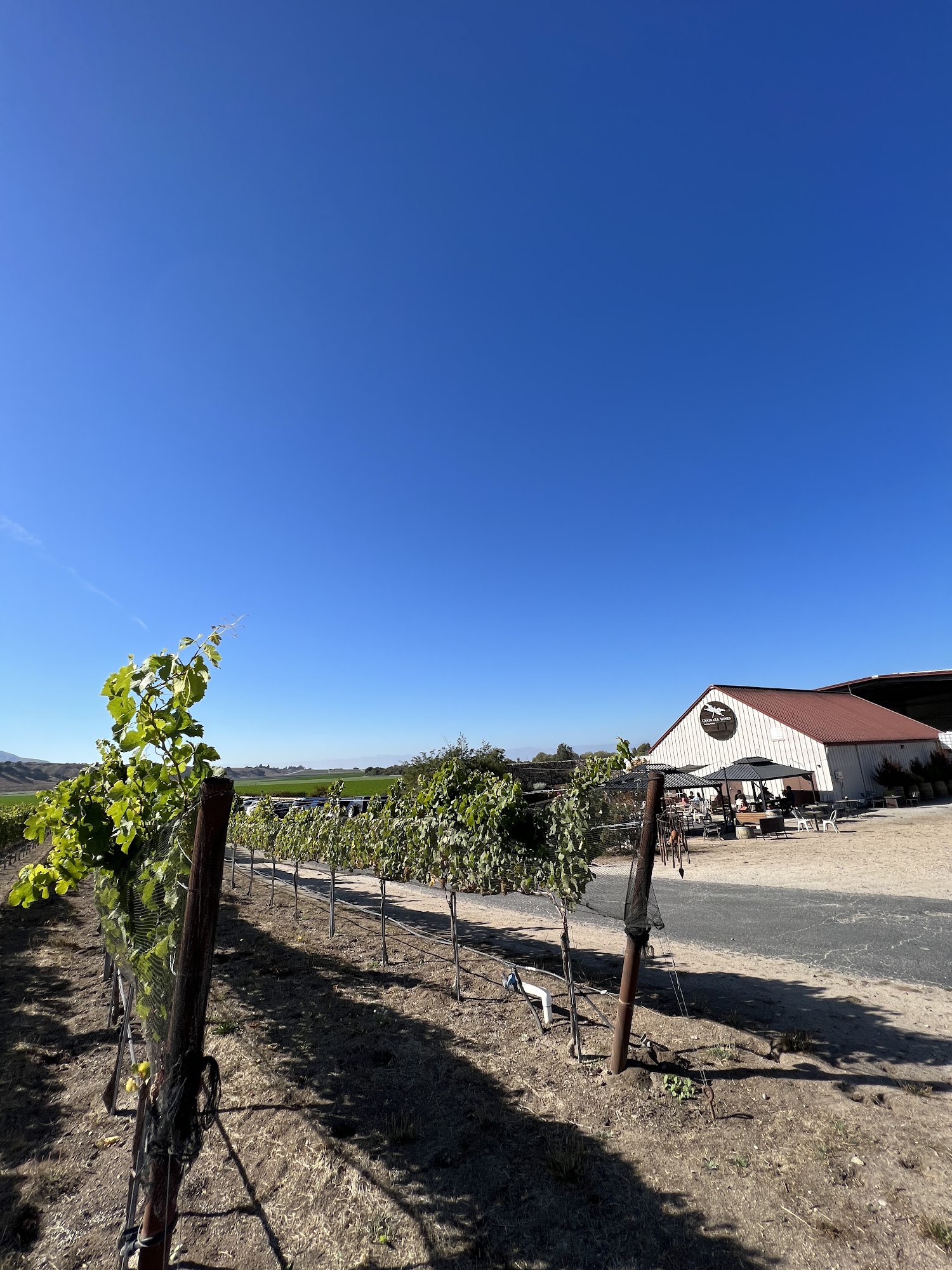 Odonata Wines South Salinas