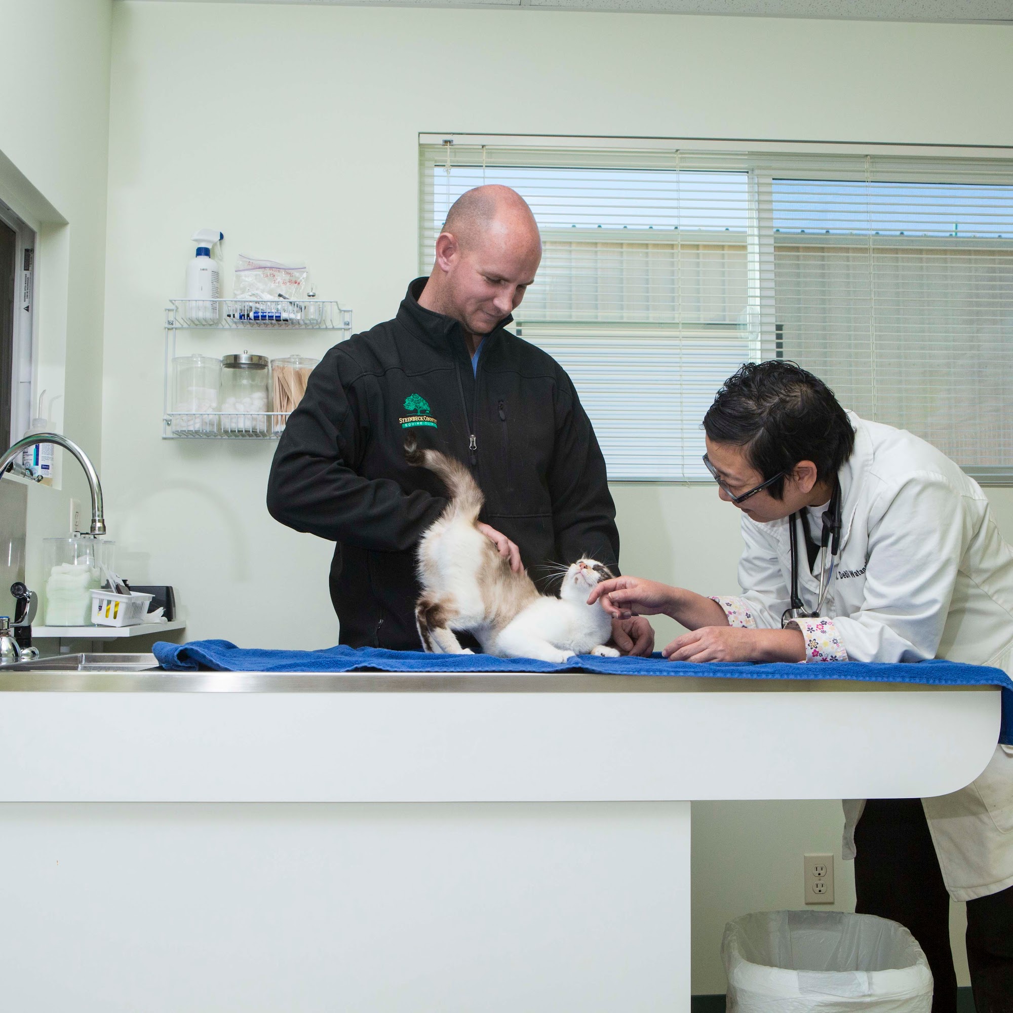 Steinbeck Country Small Animal Clinic Salinas
