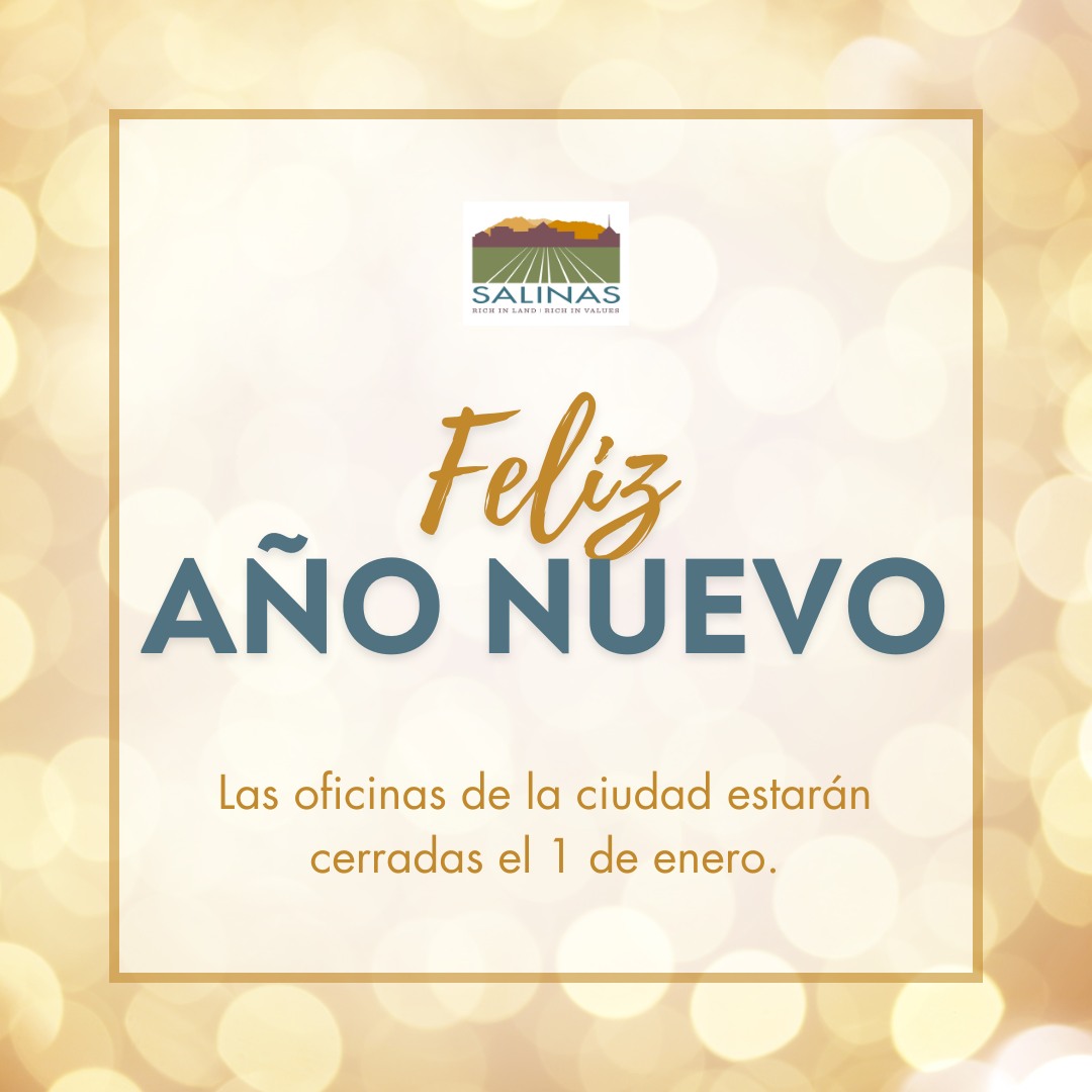 In Town Cleaning Services