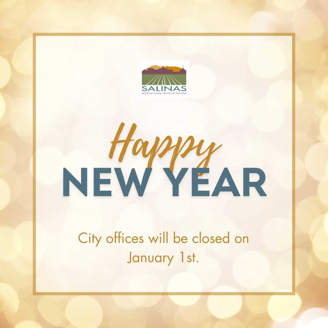 In Town Cleaning Services