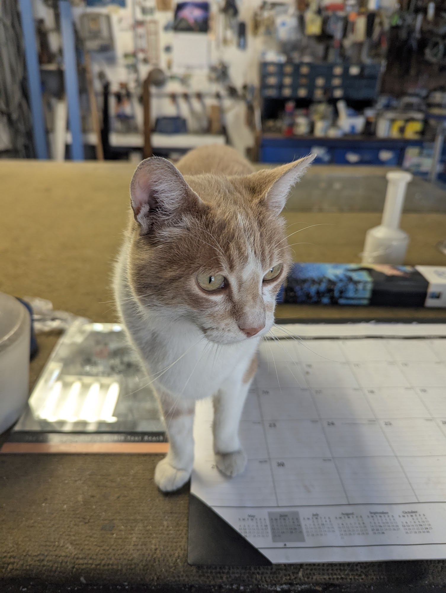 Ted Ponton Glass Shop Salinas