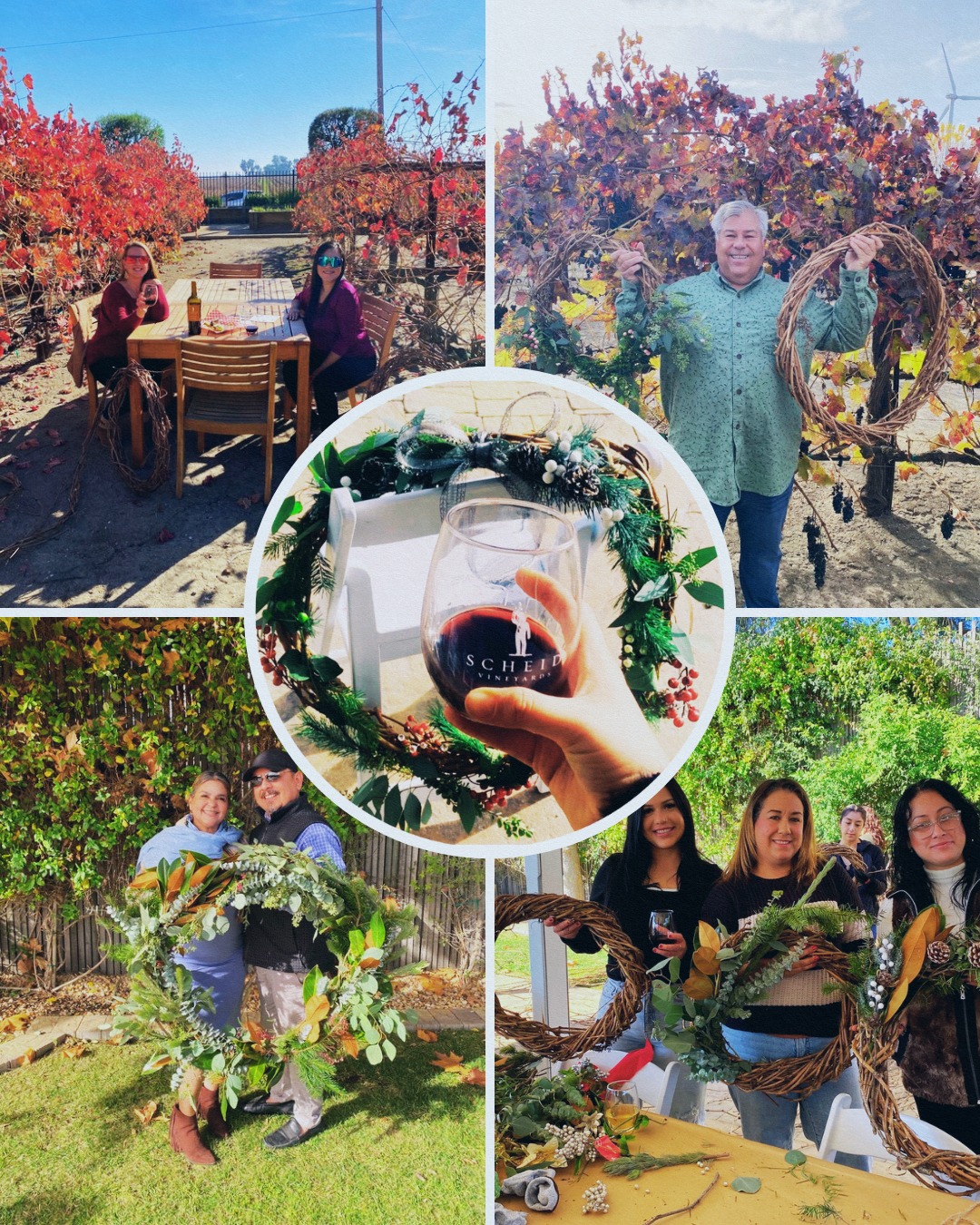 Scheid Vineyards - Isabelle's Vineyard