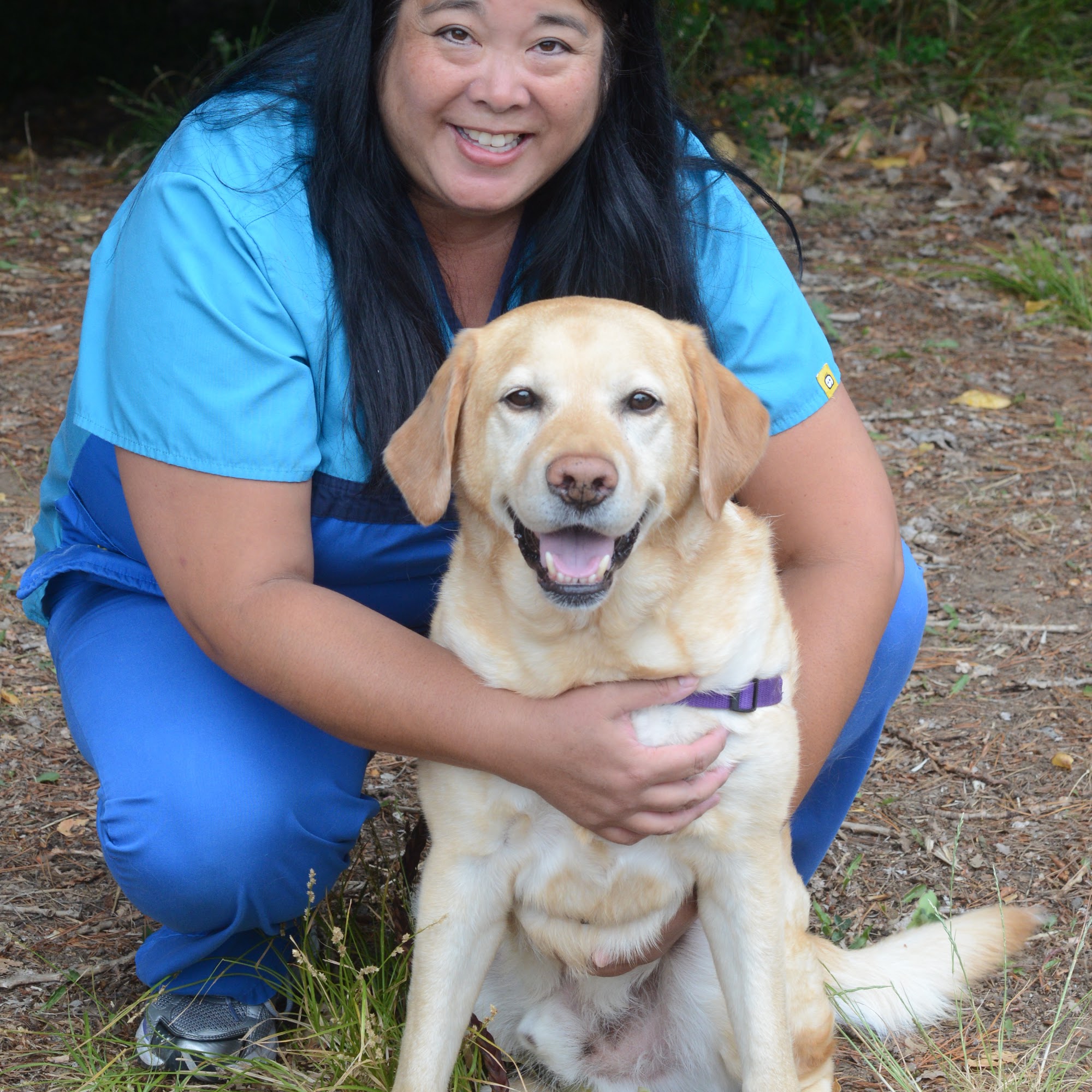 Ross Valley Veterinary Hospital San Anselmo