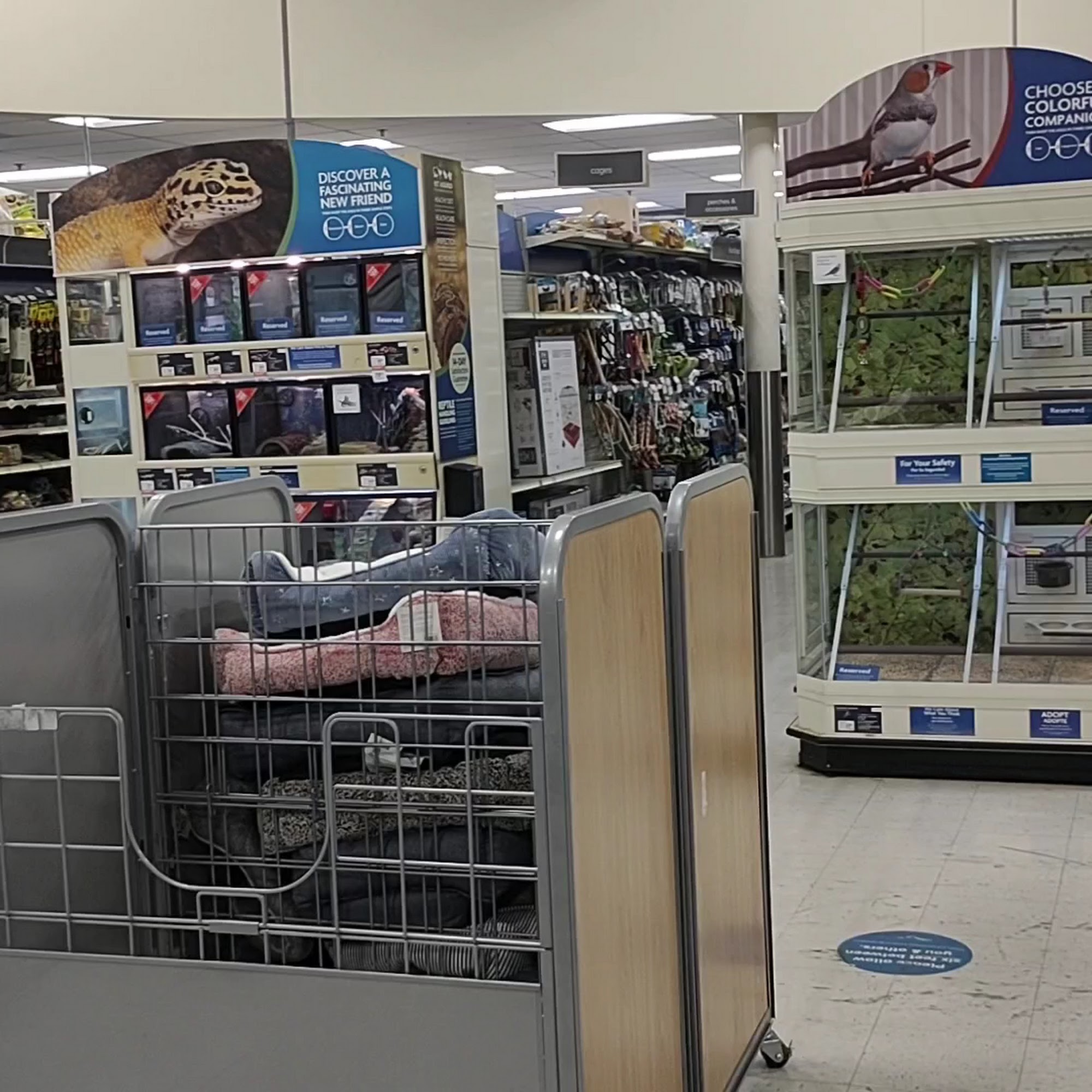 PetSmart San Bernardino