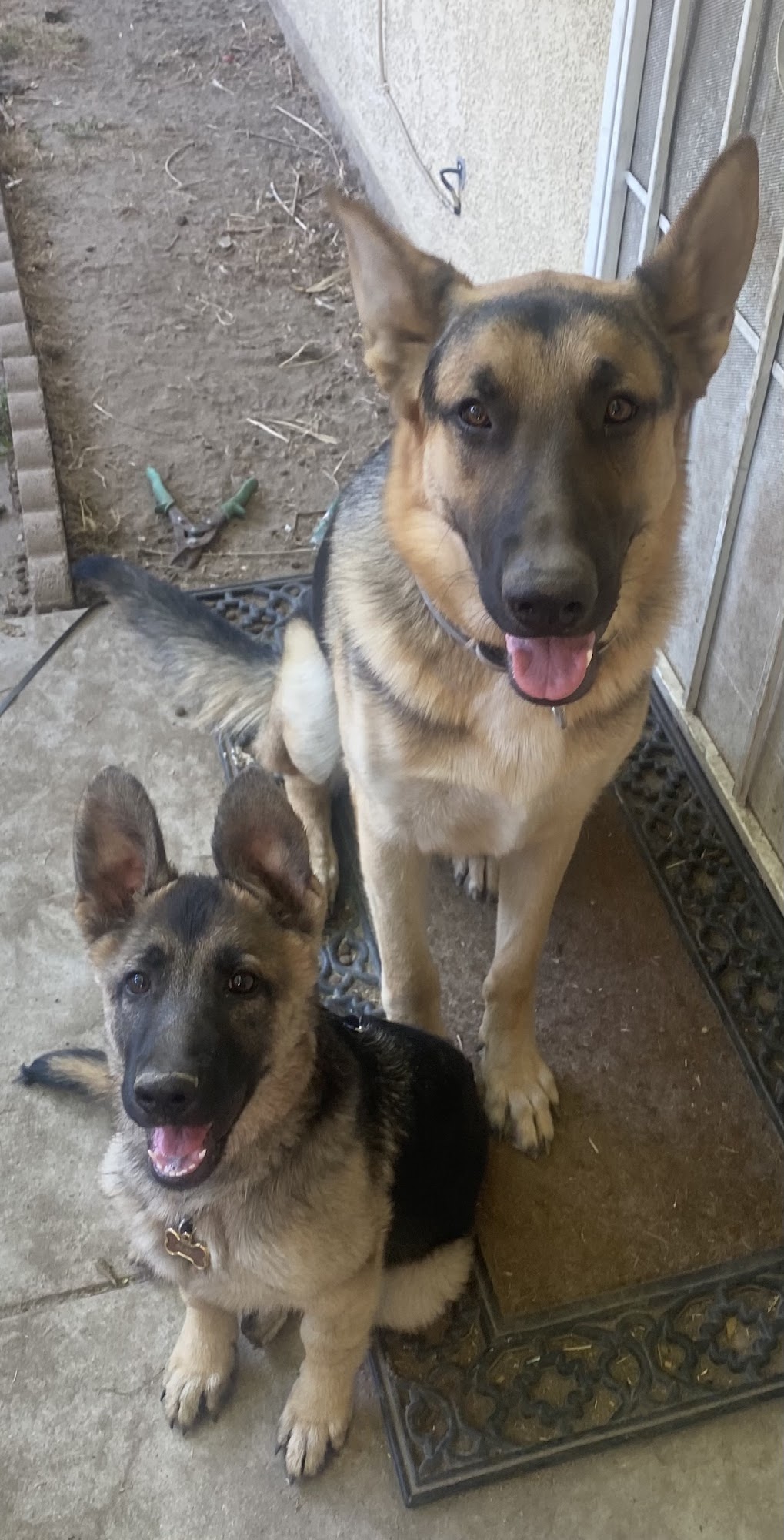 West Highland Dog & Cat Hospital San Bernardino