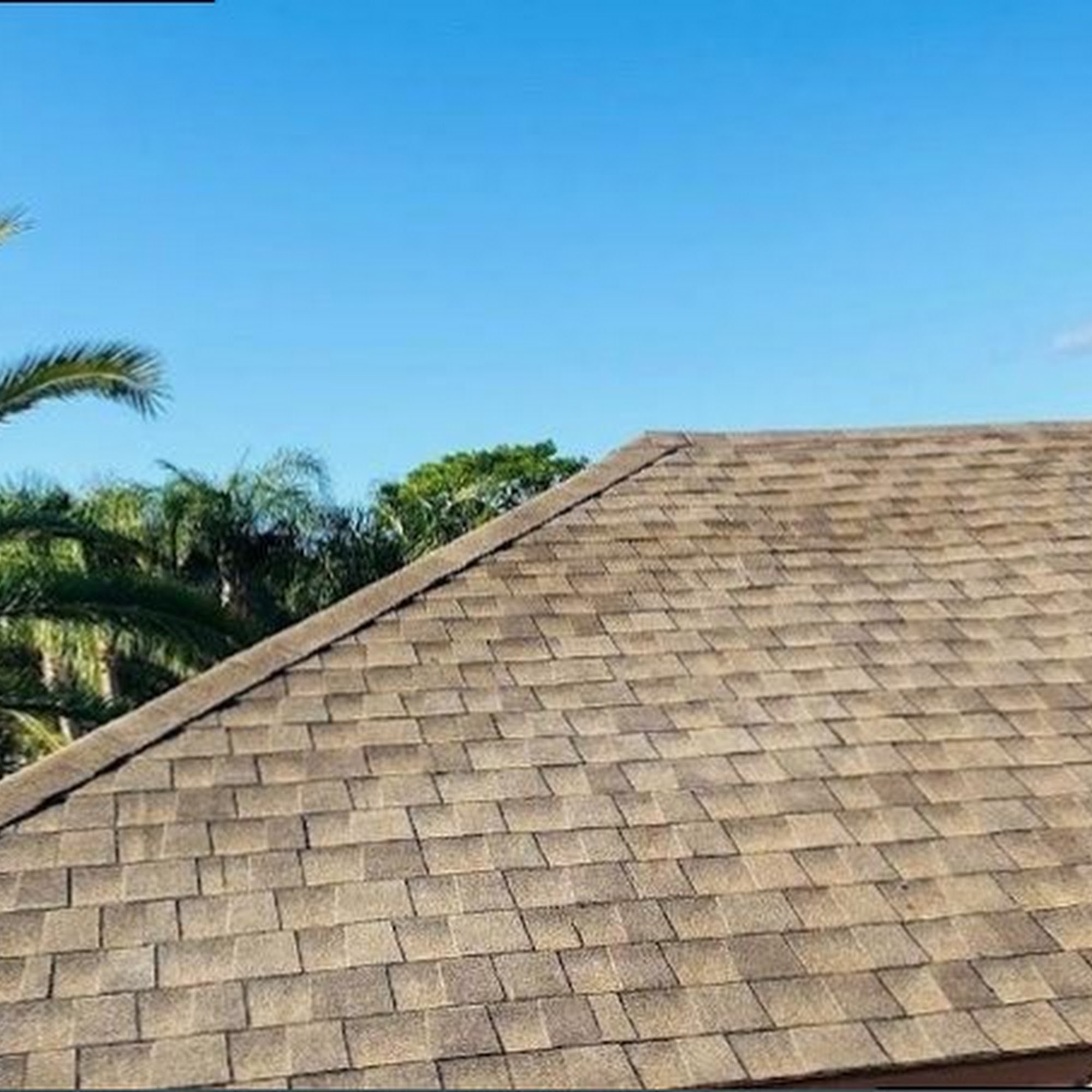 George & Sons Roof Architecture