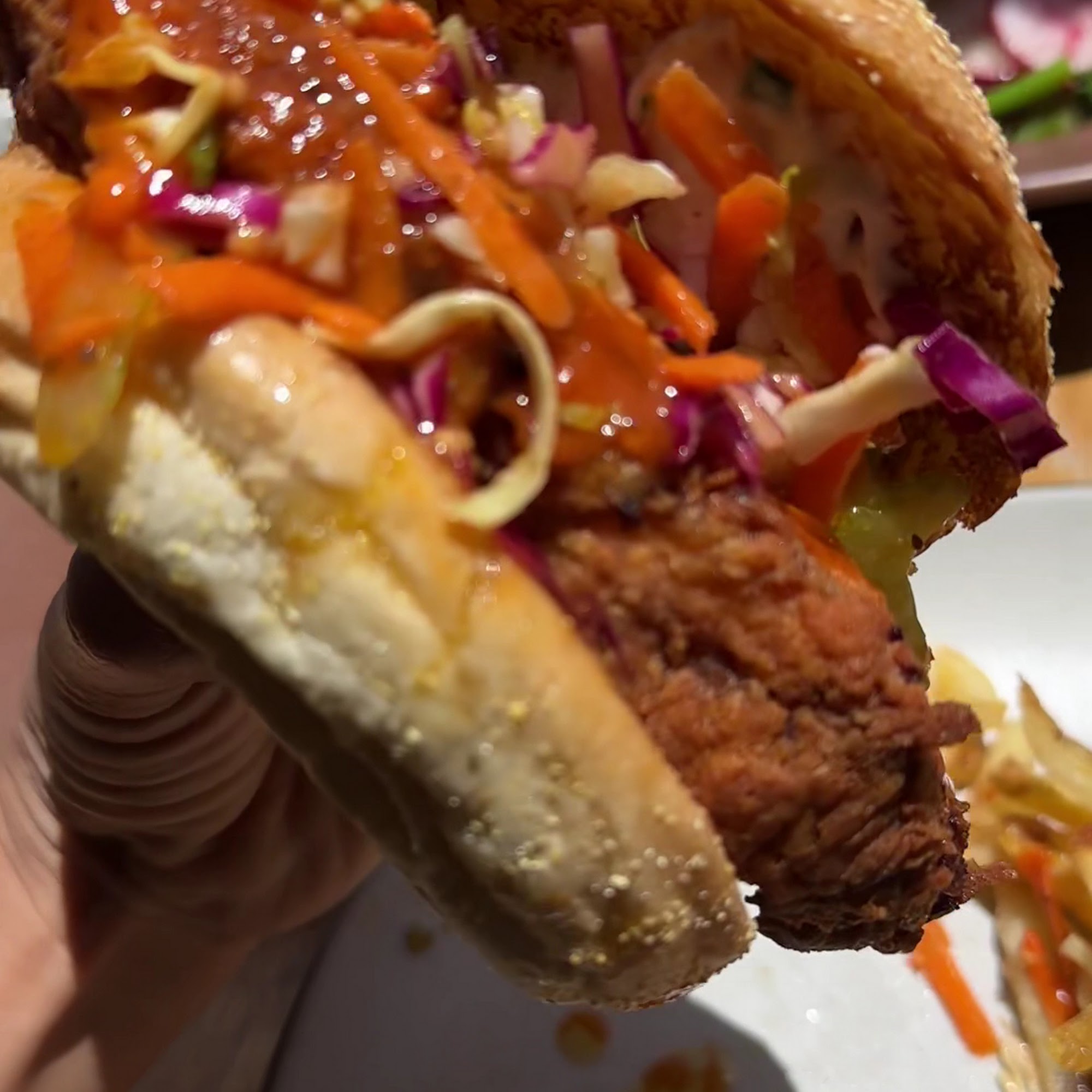 Johnston's Saltbox San Carlos