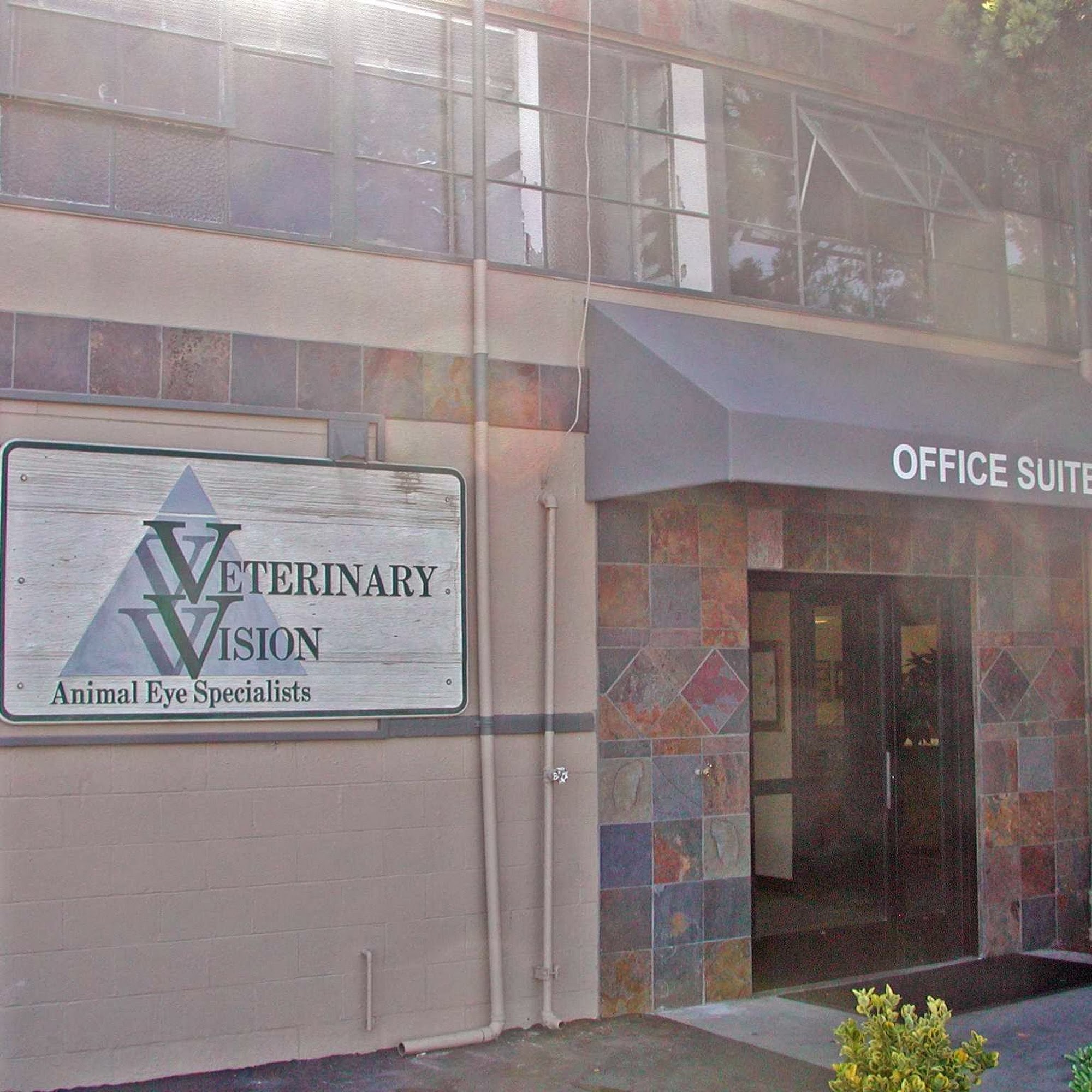Veterinary Vision Animal Eye Specialists San Carlos