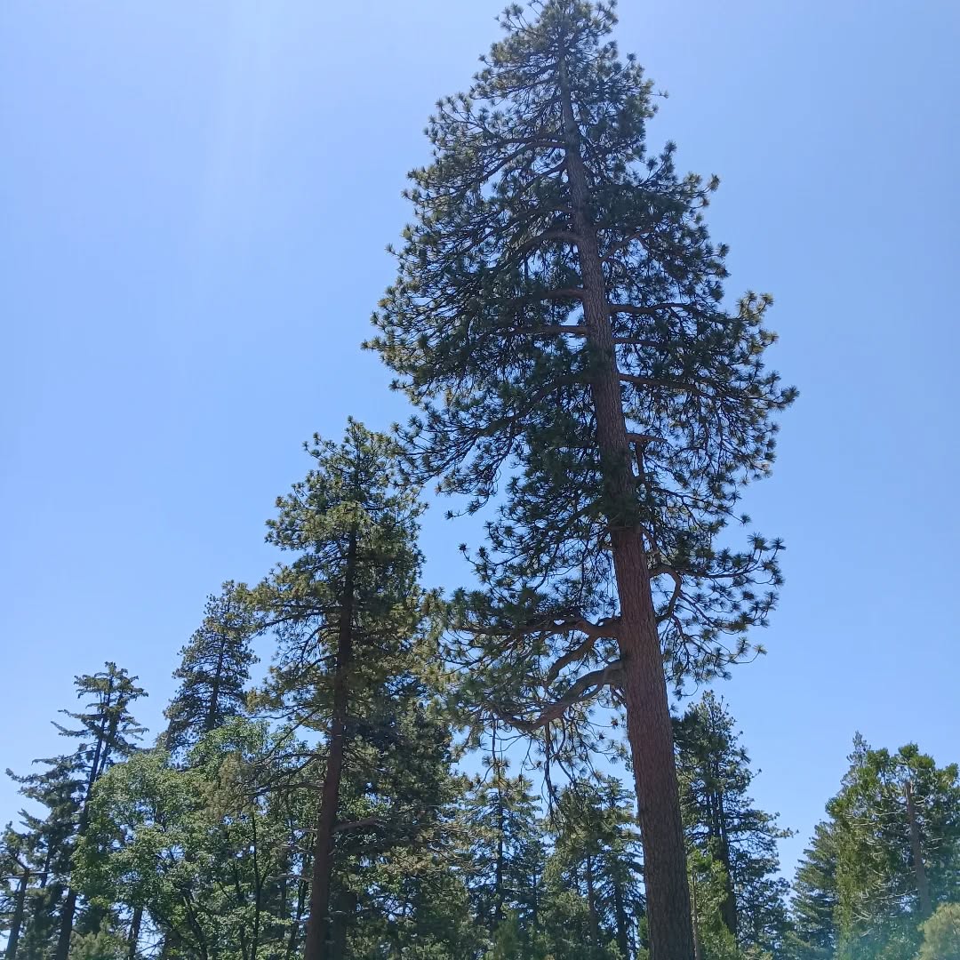 number5kitchen San Carlos