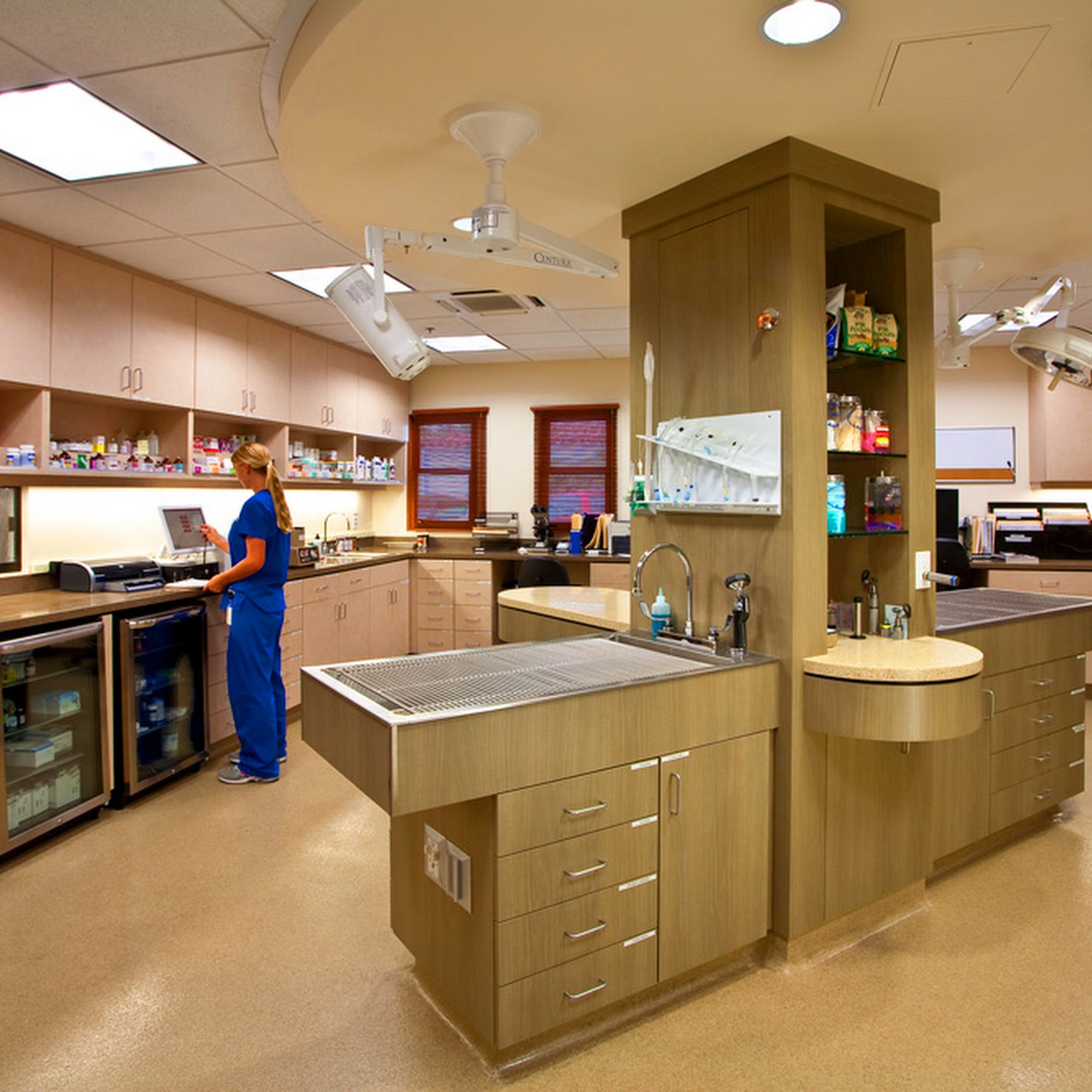 San Clemente Veterinary Hospital San Clemente