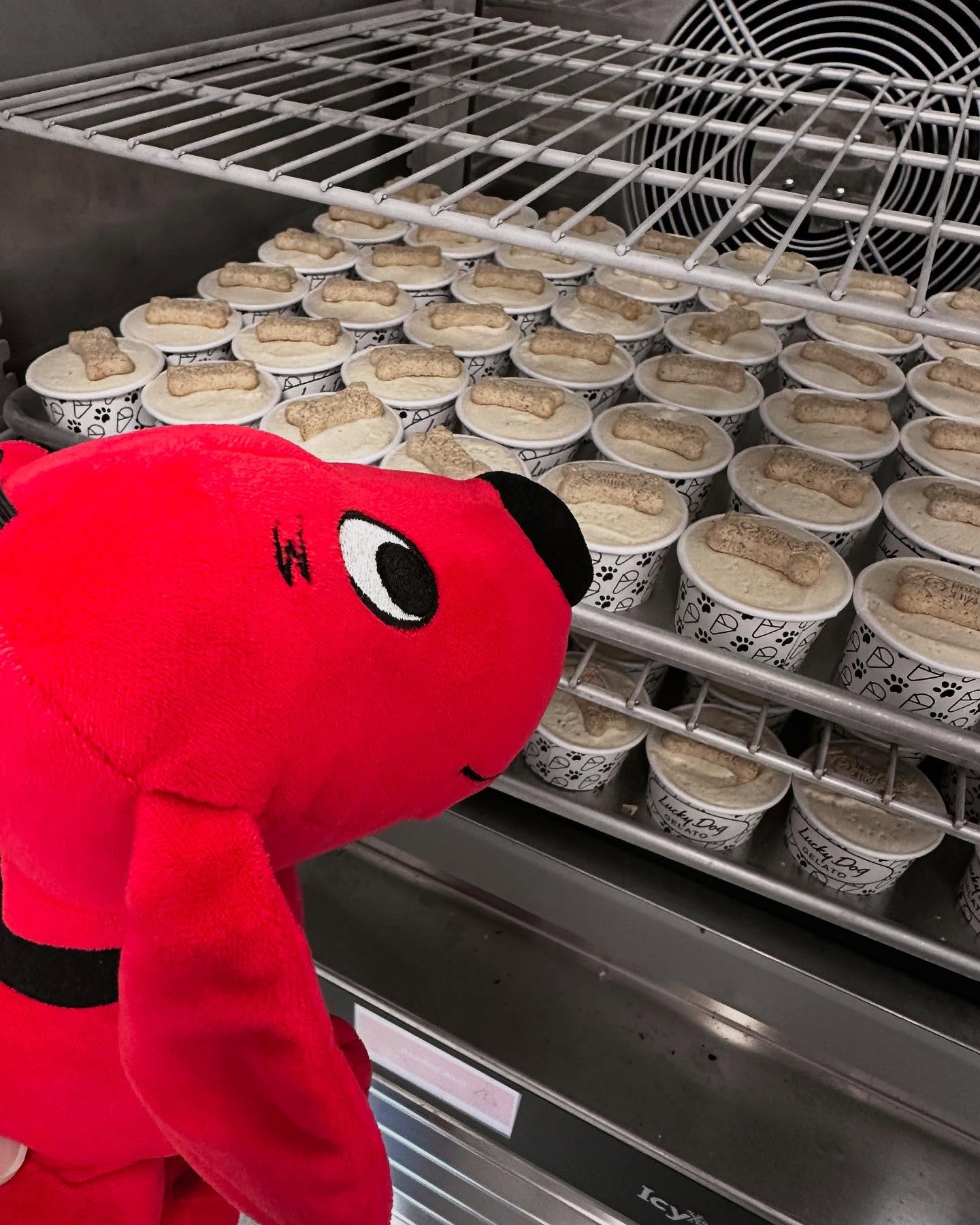 Lucky Dog Gelato San Clemente