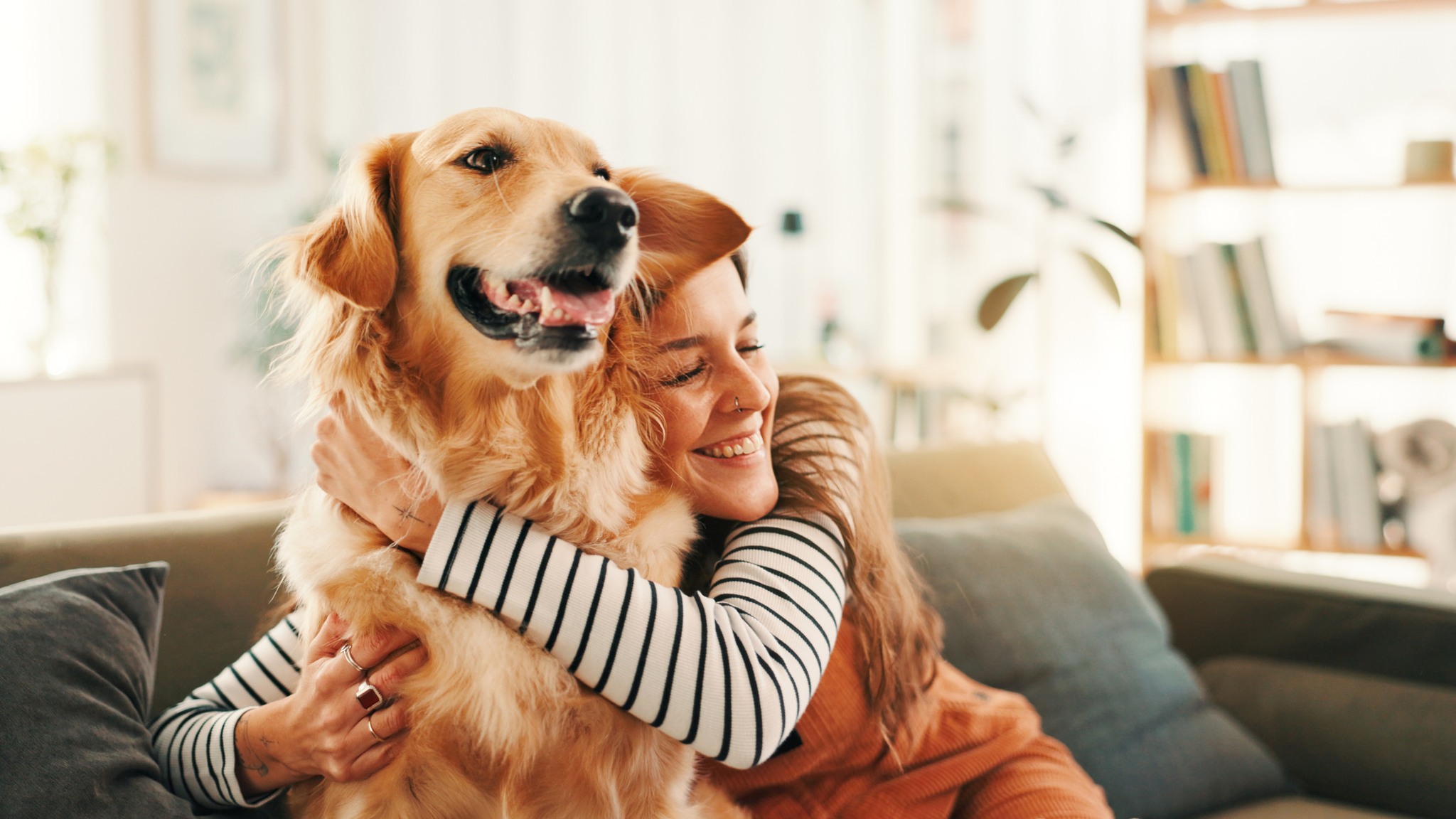 OC Grooming & Pet Spa San Clemente