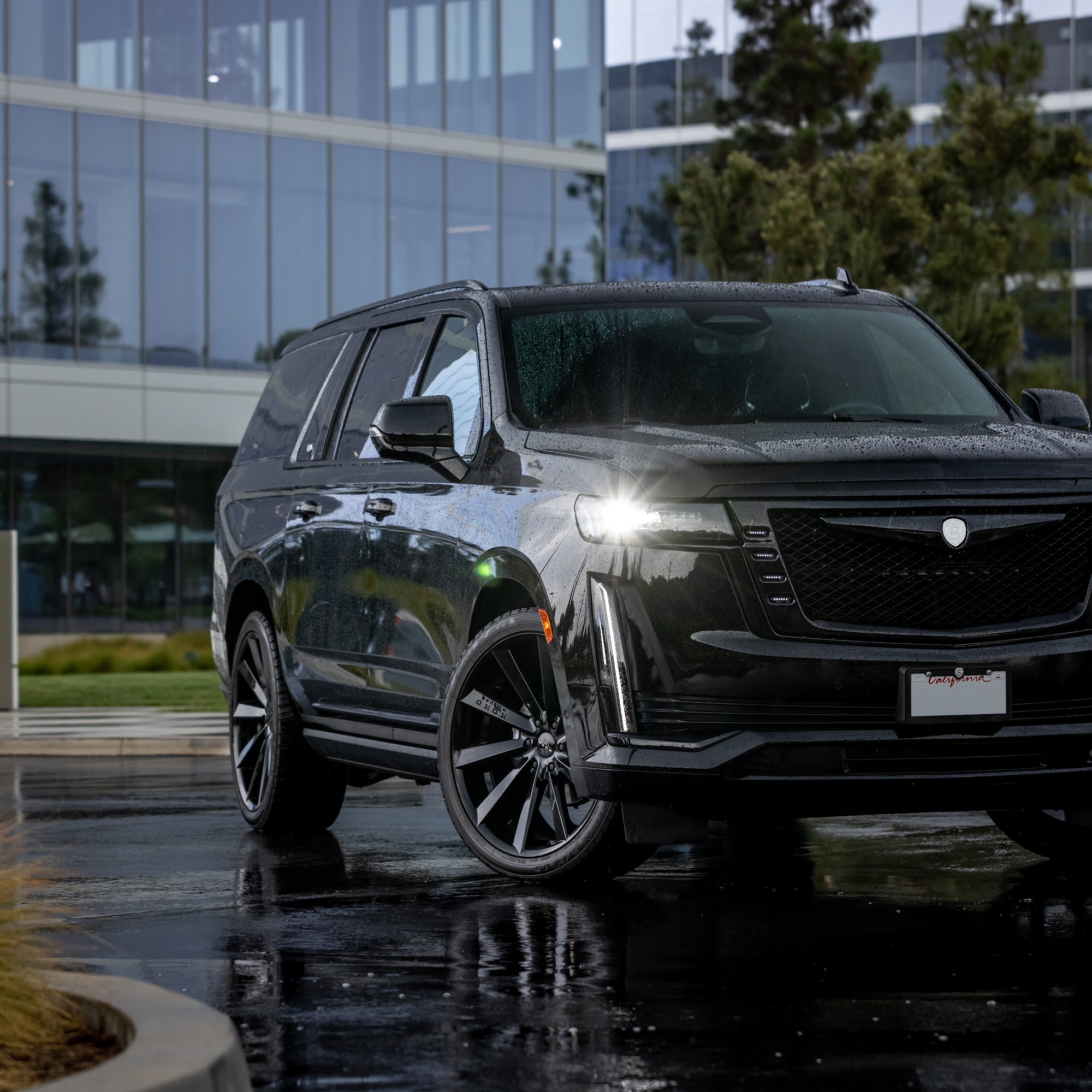 STRUT LLC San Clemente