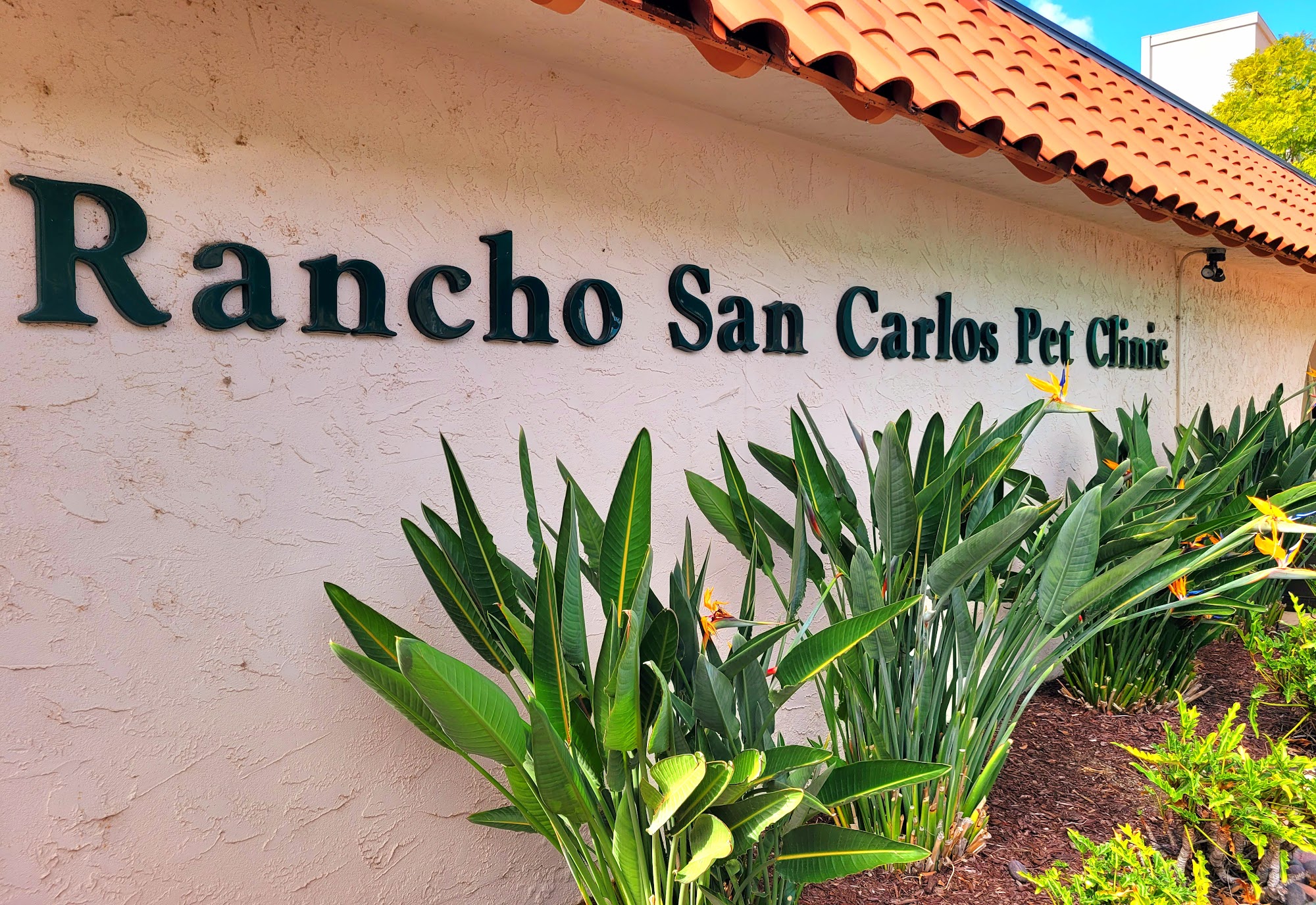 Rancho San Carlos Pet Clinic San Diego