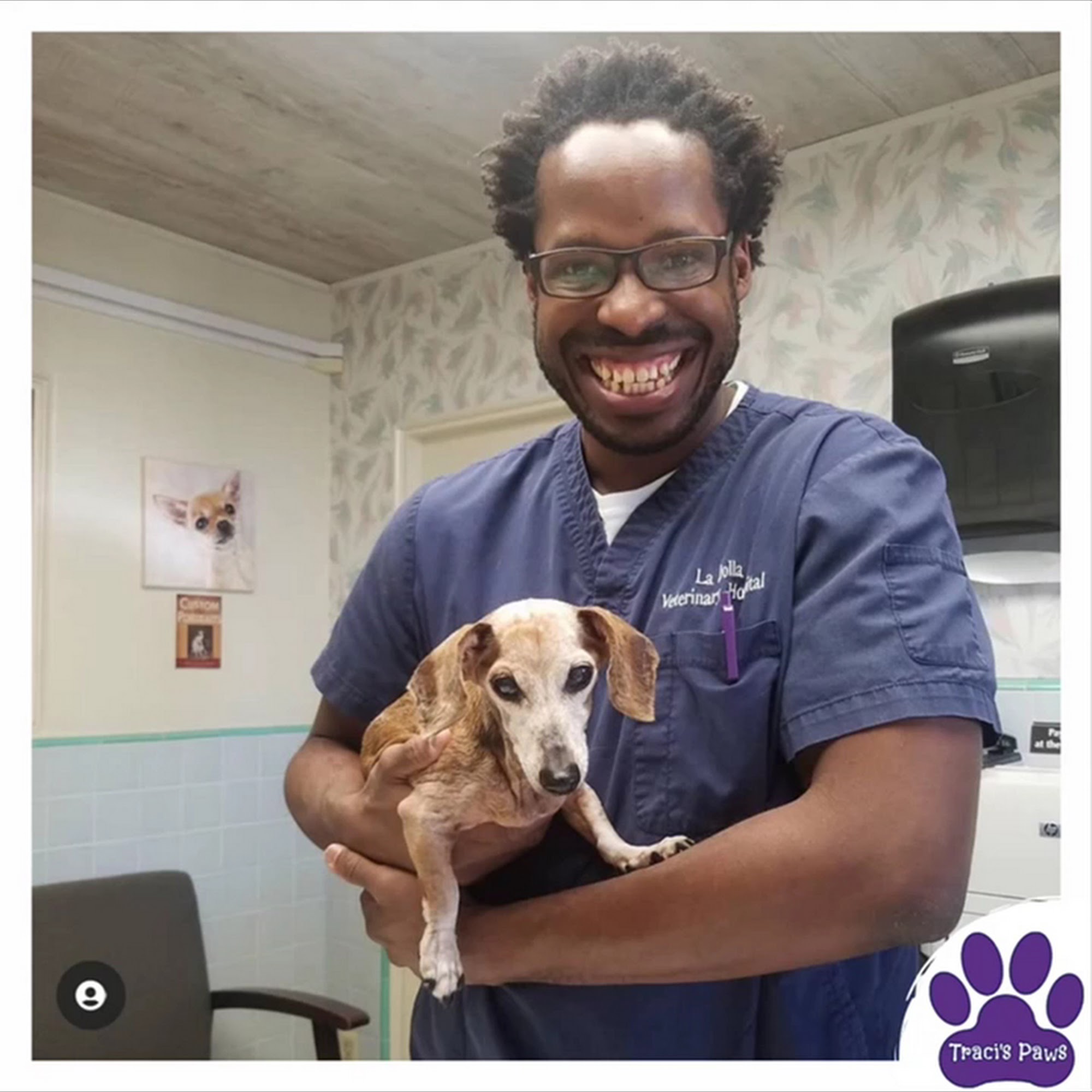 La Jolla Veterinary Hospital San Diego