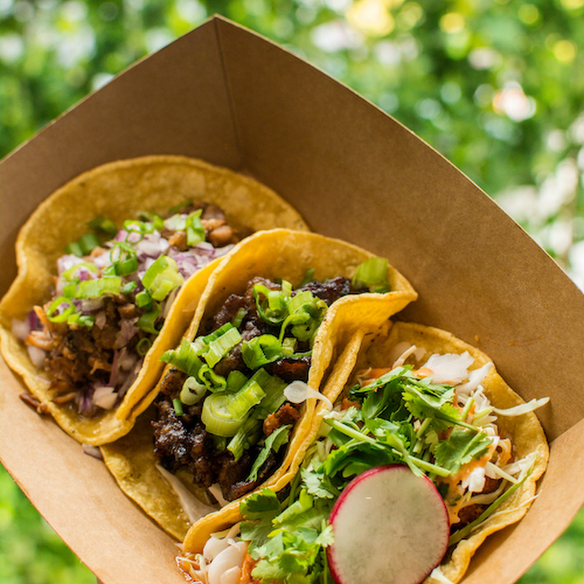 Steamy Piggy San Diego