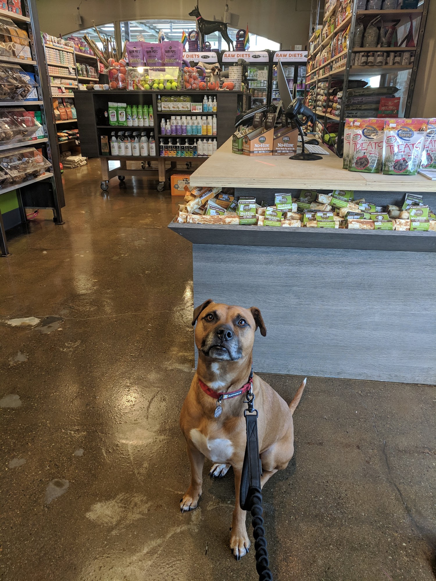 Dirty Dogs Hillcrest San Diego