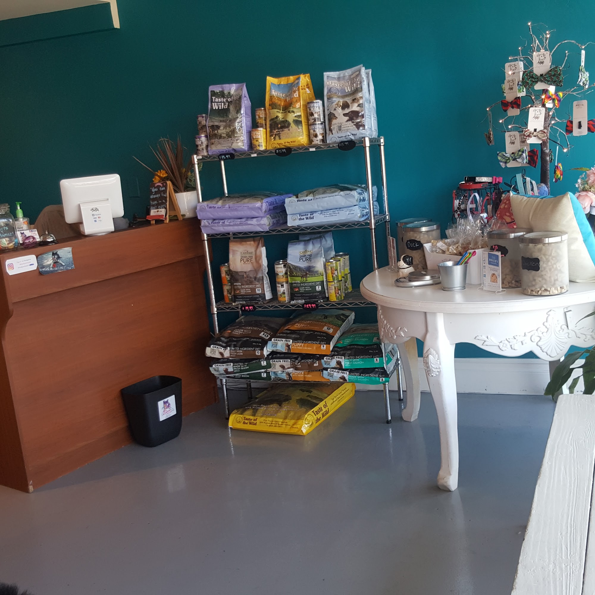 Bark Out Loud San Diego