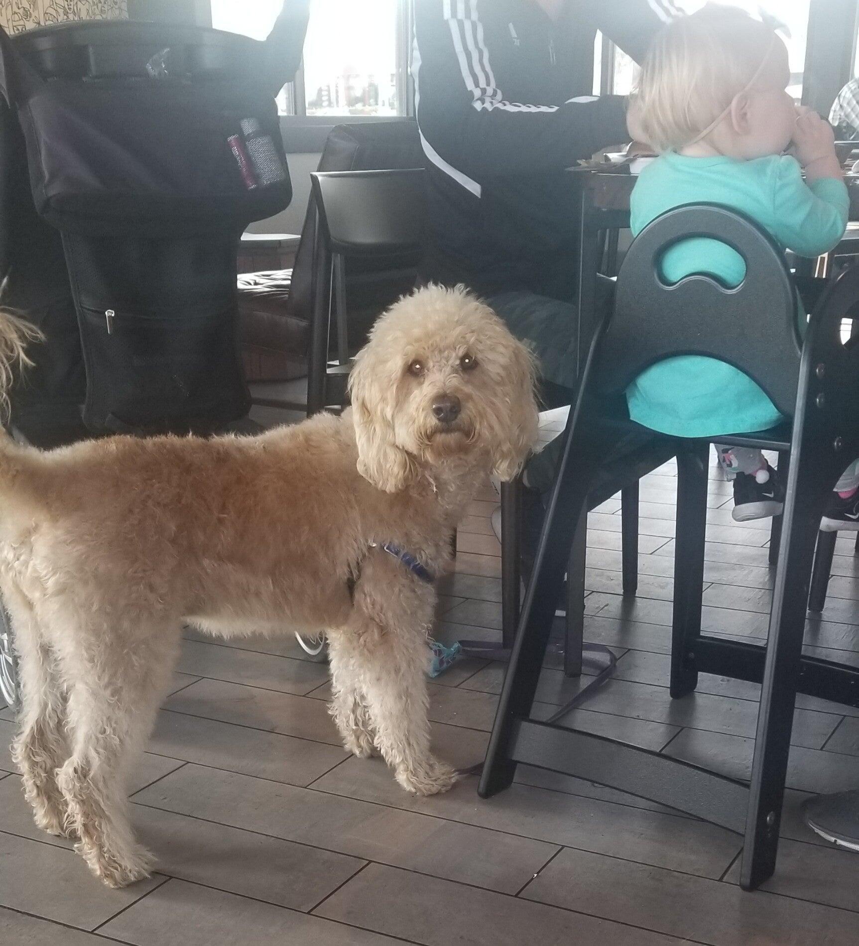 Photo credit: nextdoor