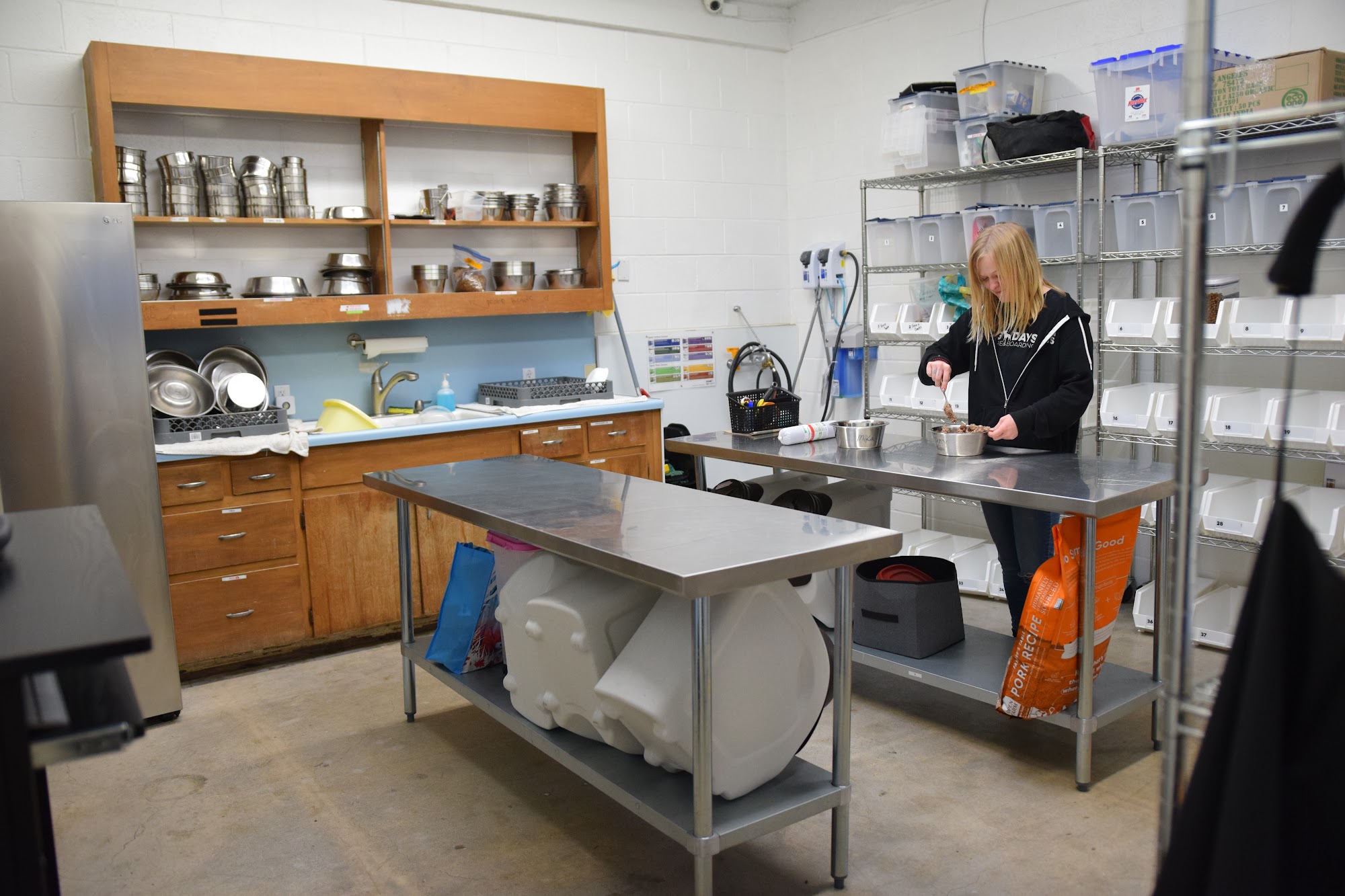 Dog Days San Diego San Diego