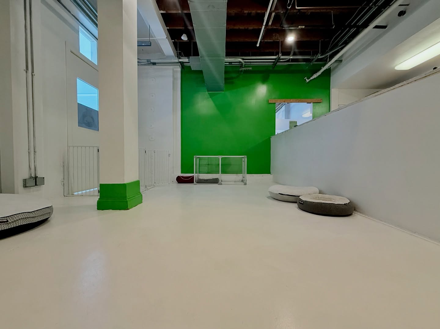 Pupper Club San Diego