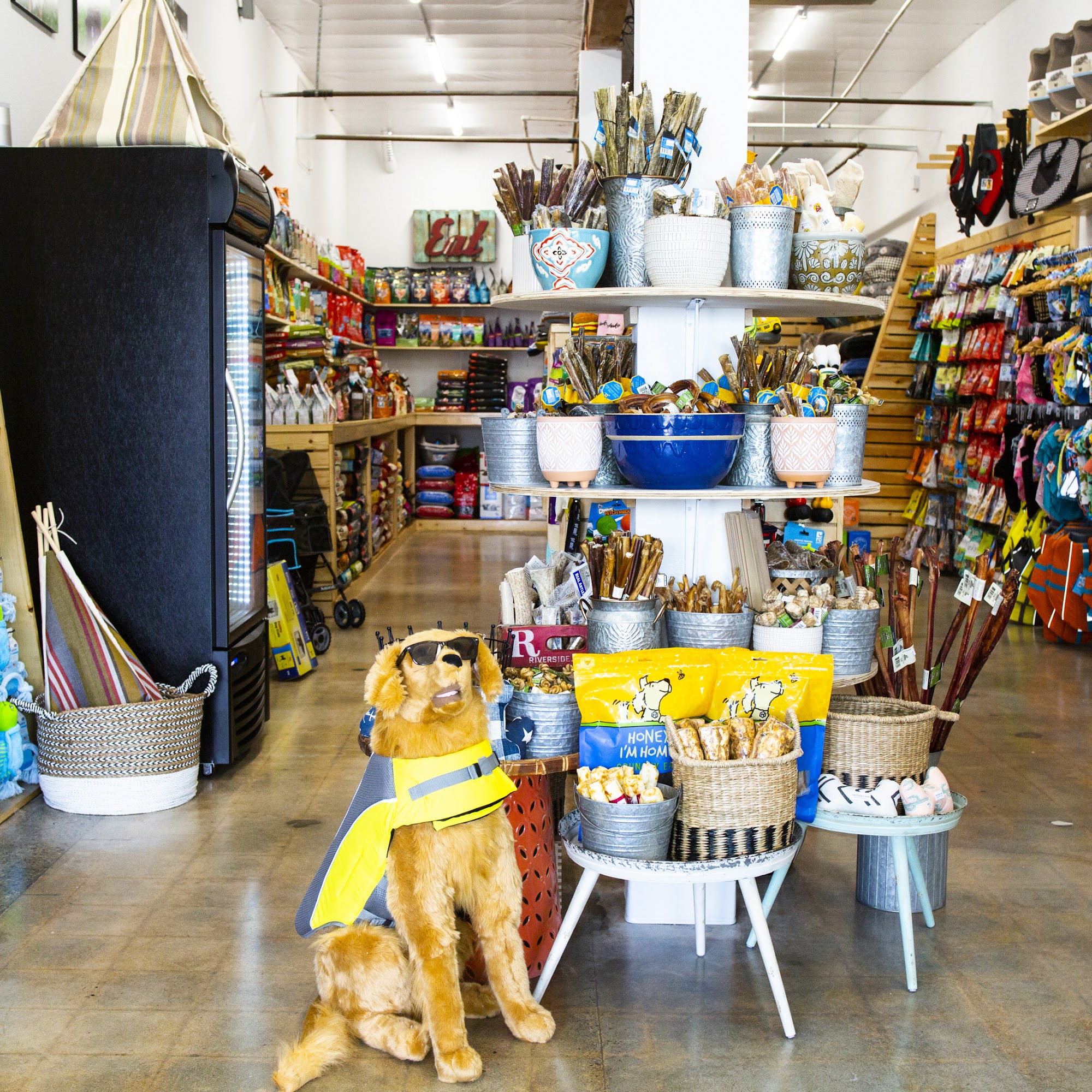 Deckers Dog + Cat San Diego