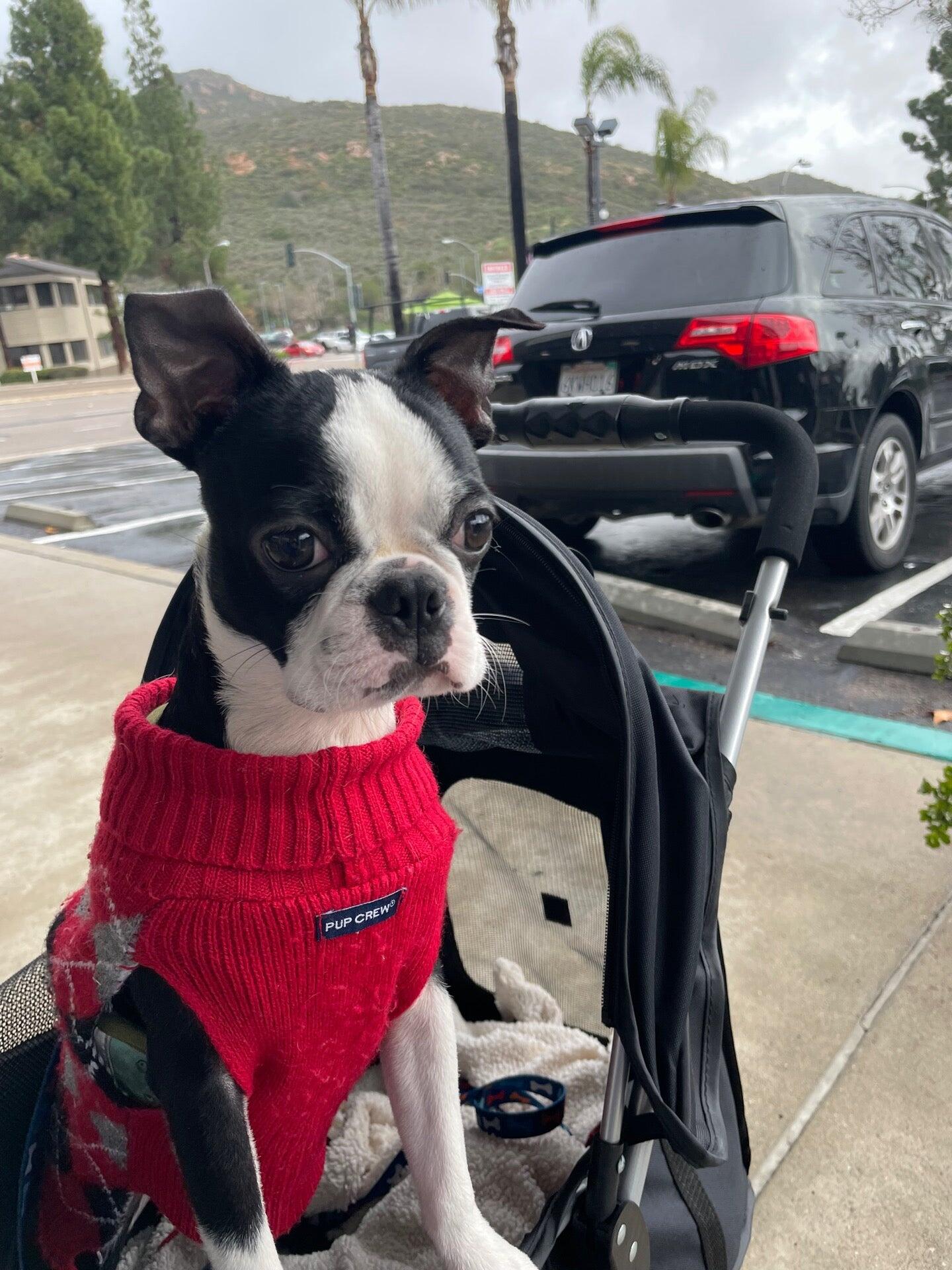 Photo credit: nextdoor