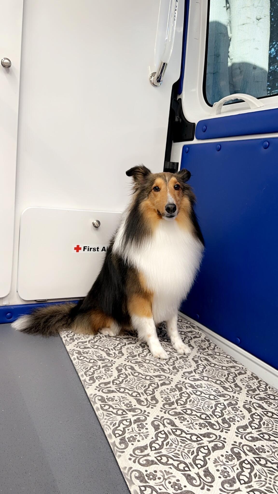 Photo credit: nextdoor