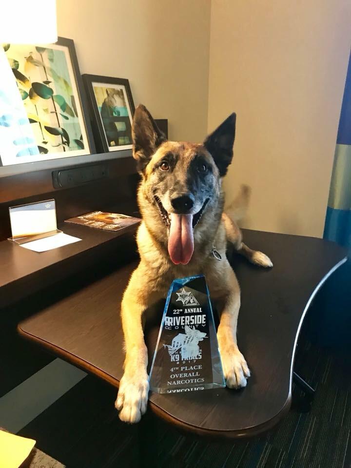 Man-K9 - San Diego Dog Training San Diego