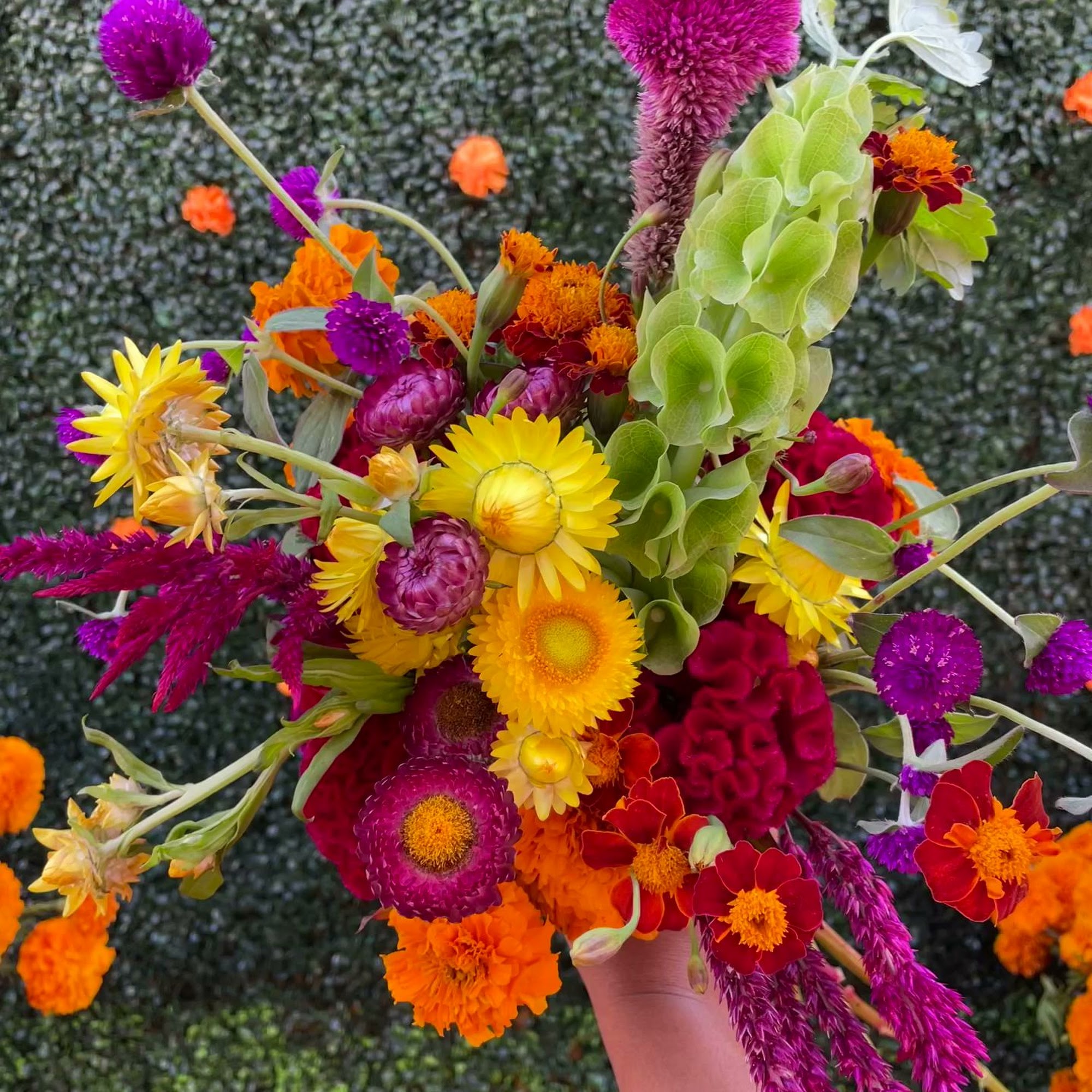 Inecui Flowers & Gifts