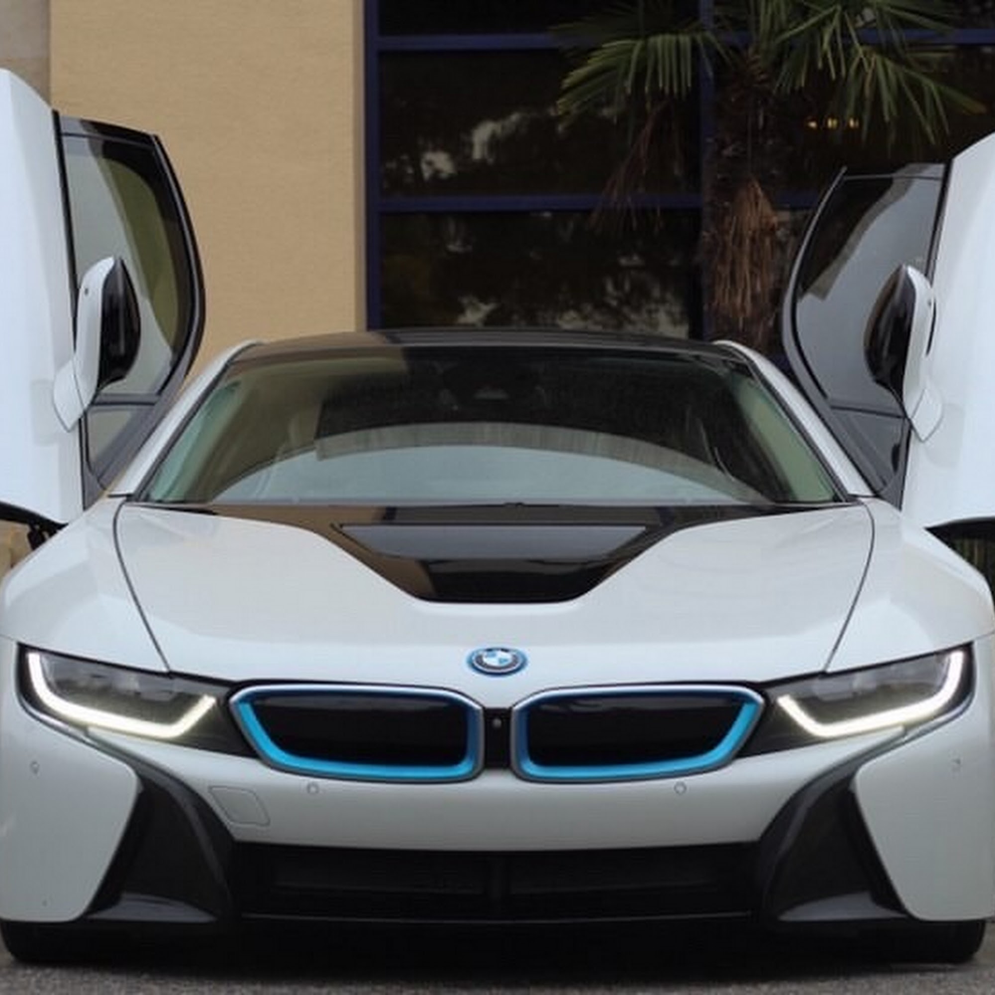 SD Cruising Rentals