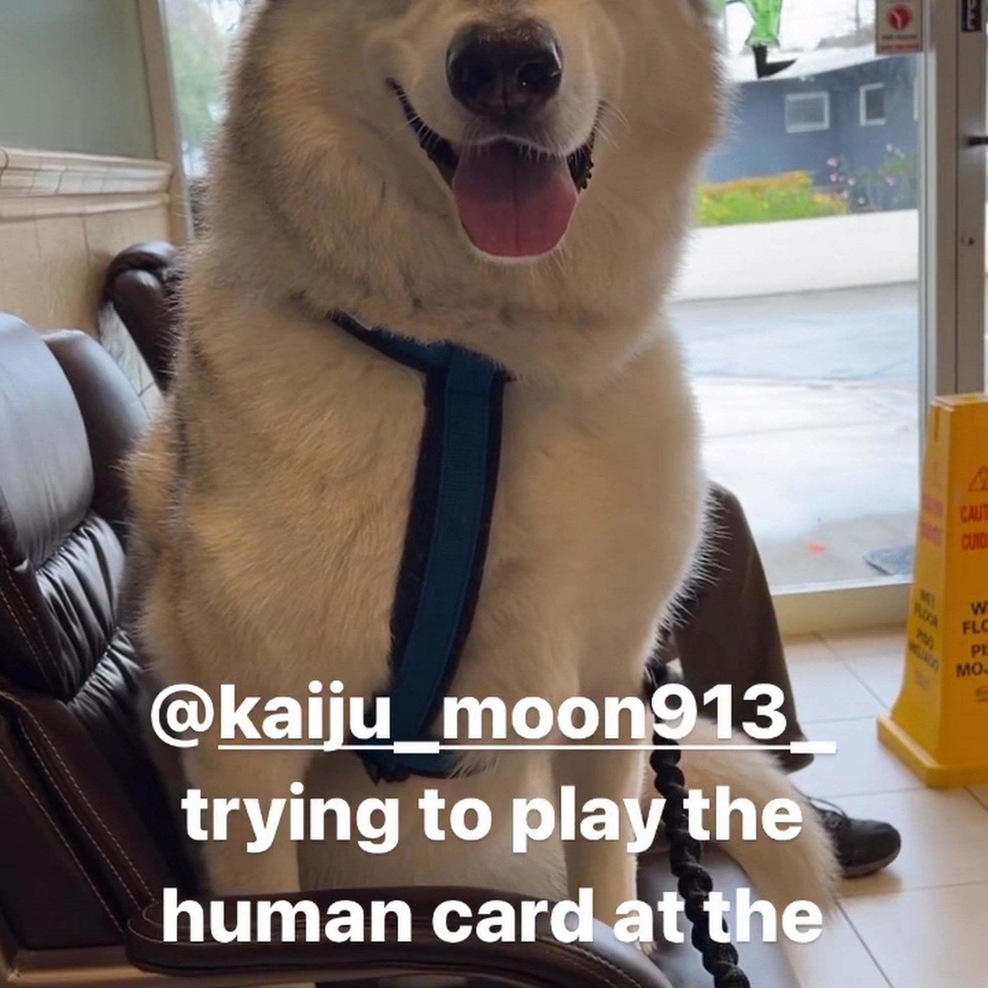 San Dimas Animal Hospital San Dimas