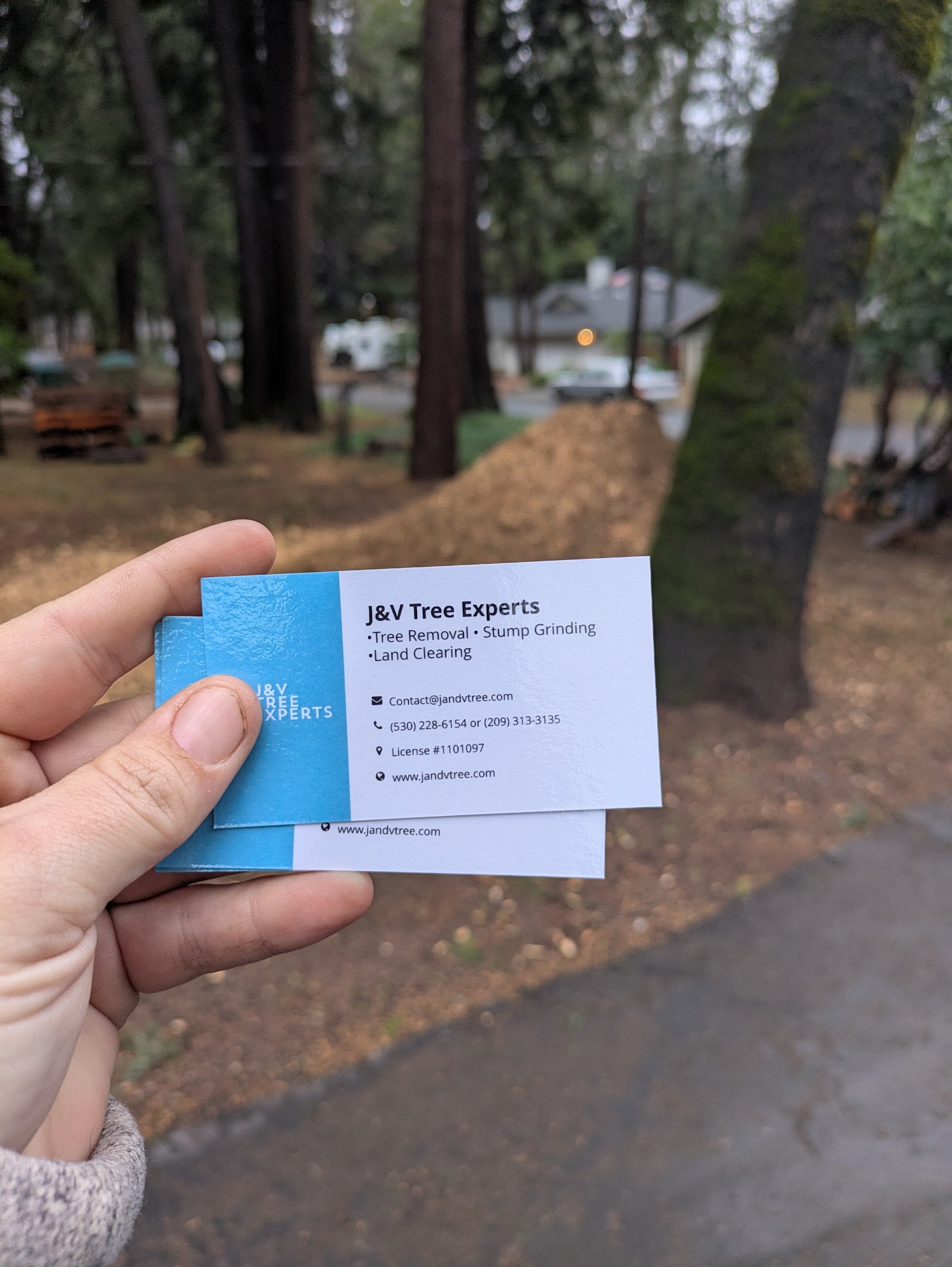 JV Tree Services 844 N Hagar St, San Fernando California 91340