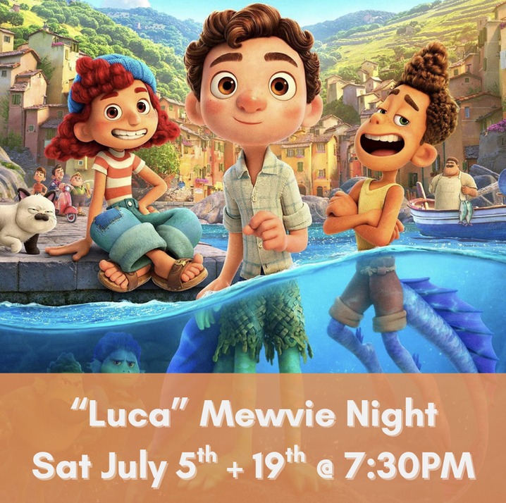 KitTea Cat Lounge San Francisco