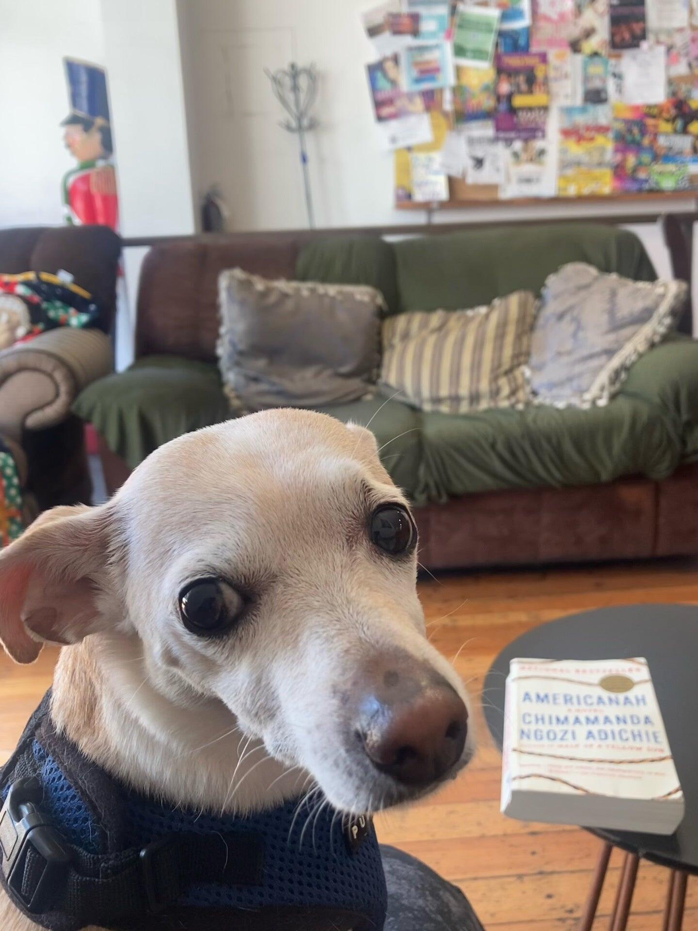 Photo credit: nextdoor