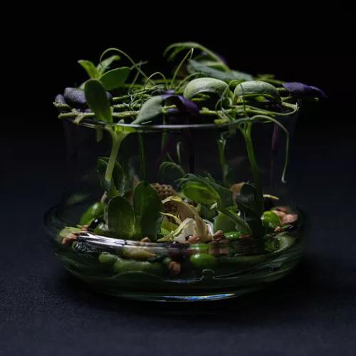 Photo credit: michelin