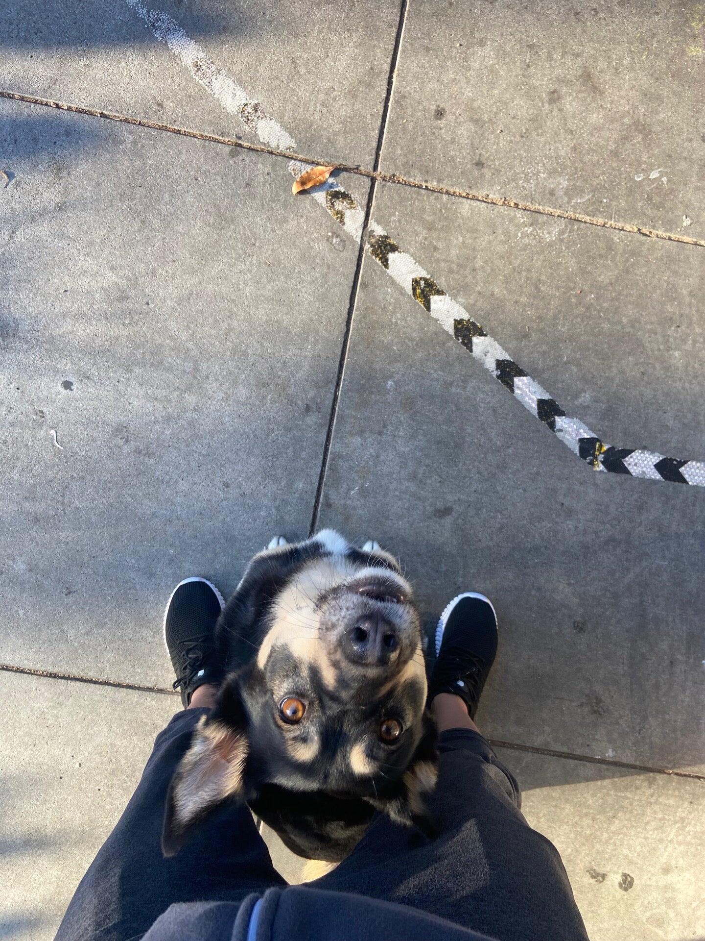 Photo credit: nextdoor