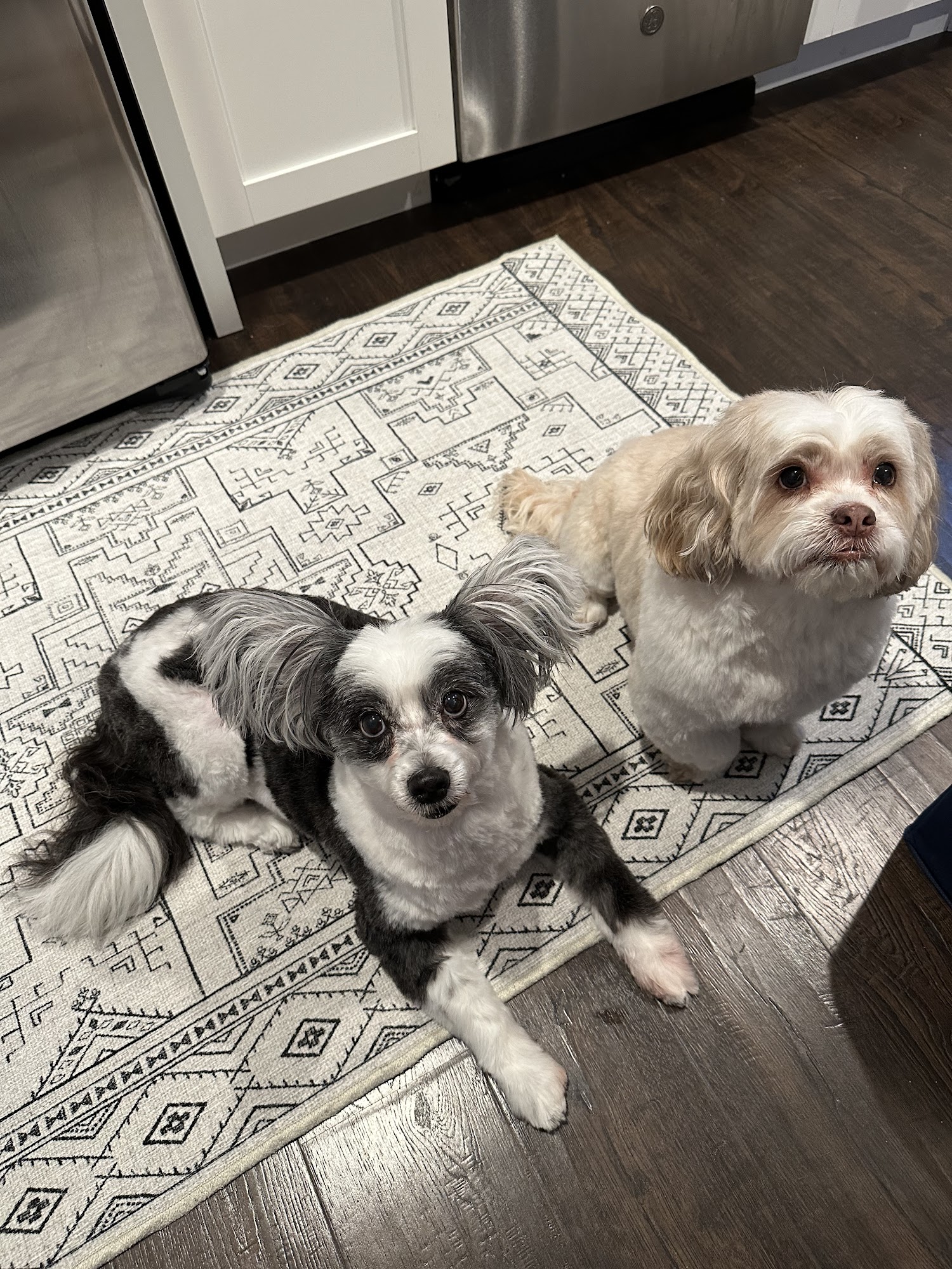 Pawber Shop San Francisco