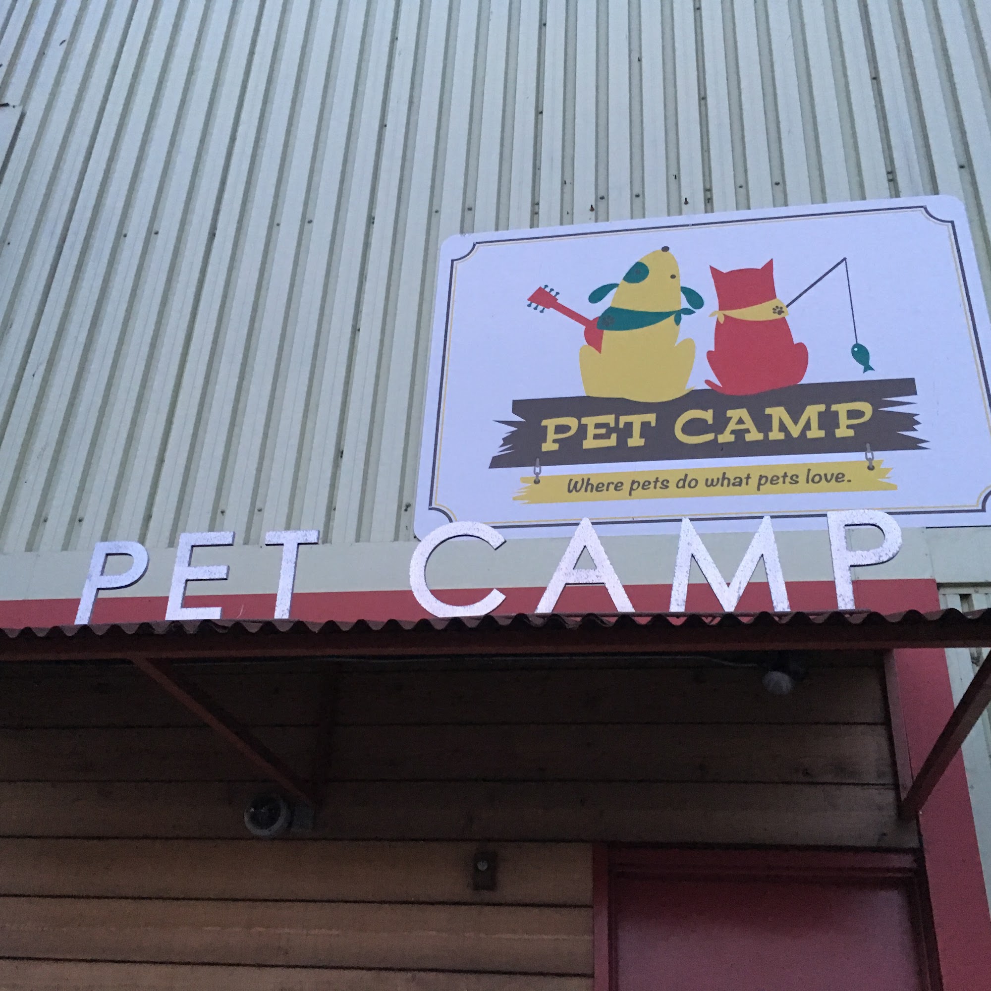 Pet Camp San Francisco San Francisco