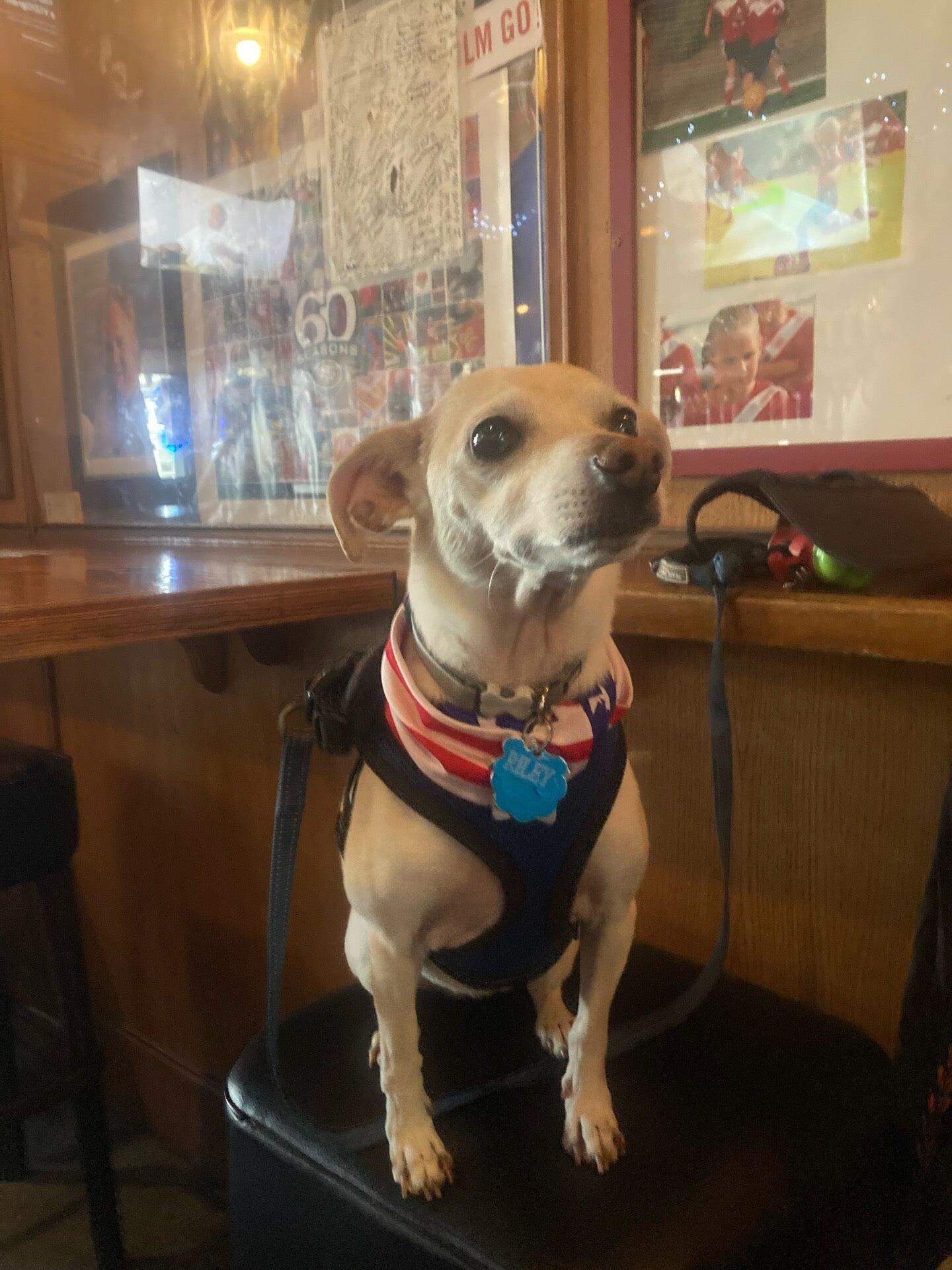 Photo credit: nextdoor