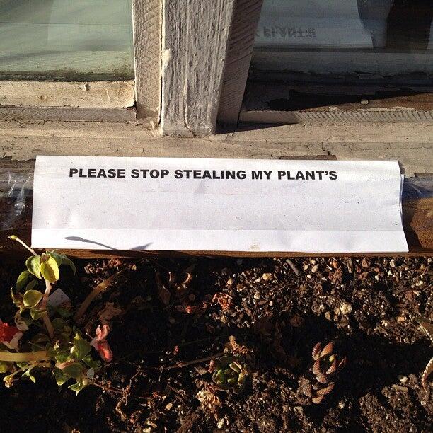 Photo credit: nextdoor