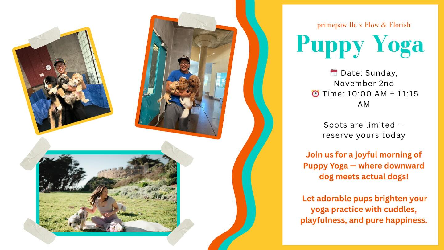 Primepaw -SF's Best Puppy School! San Francisco