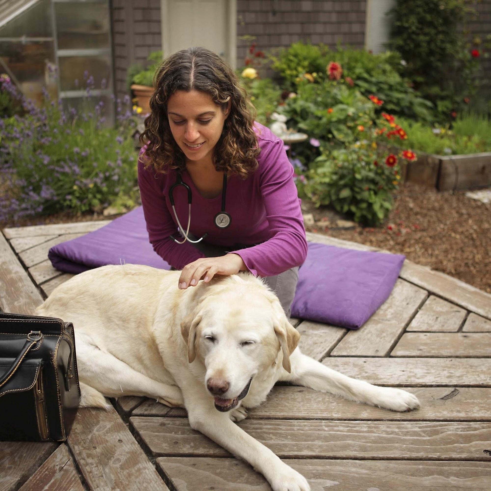 Lotus Veterinary House Calls San Francisco