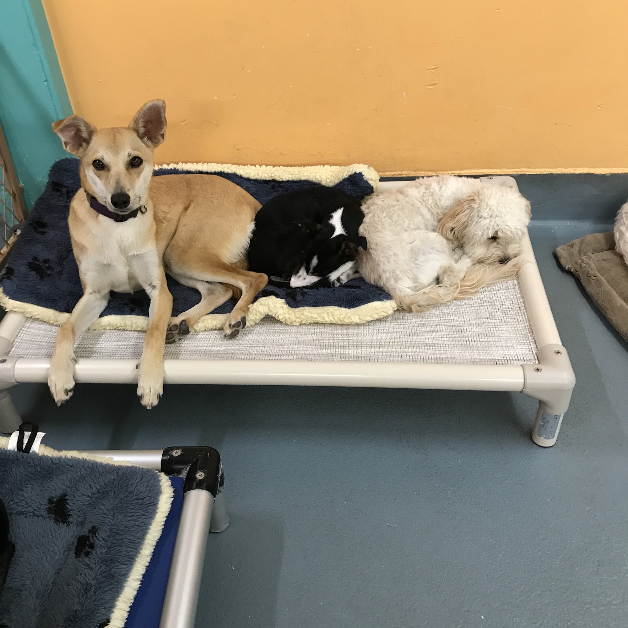 Embarkadero Social Club San Francisco