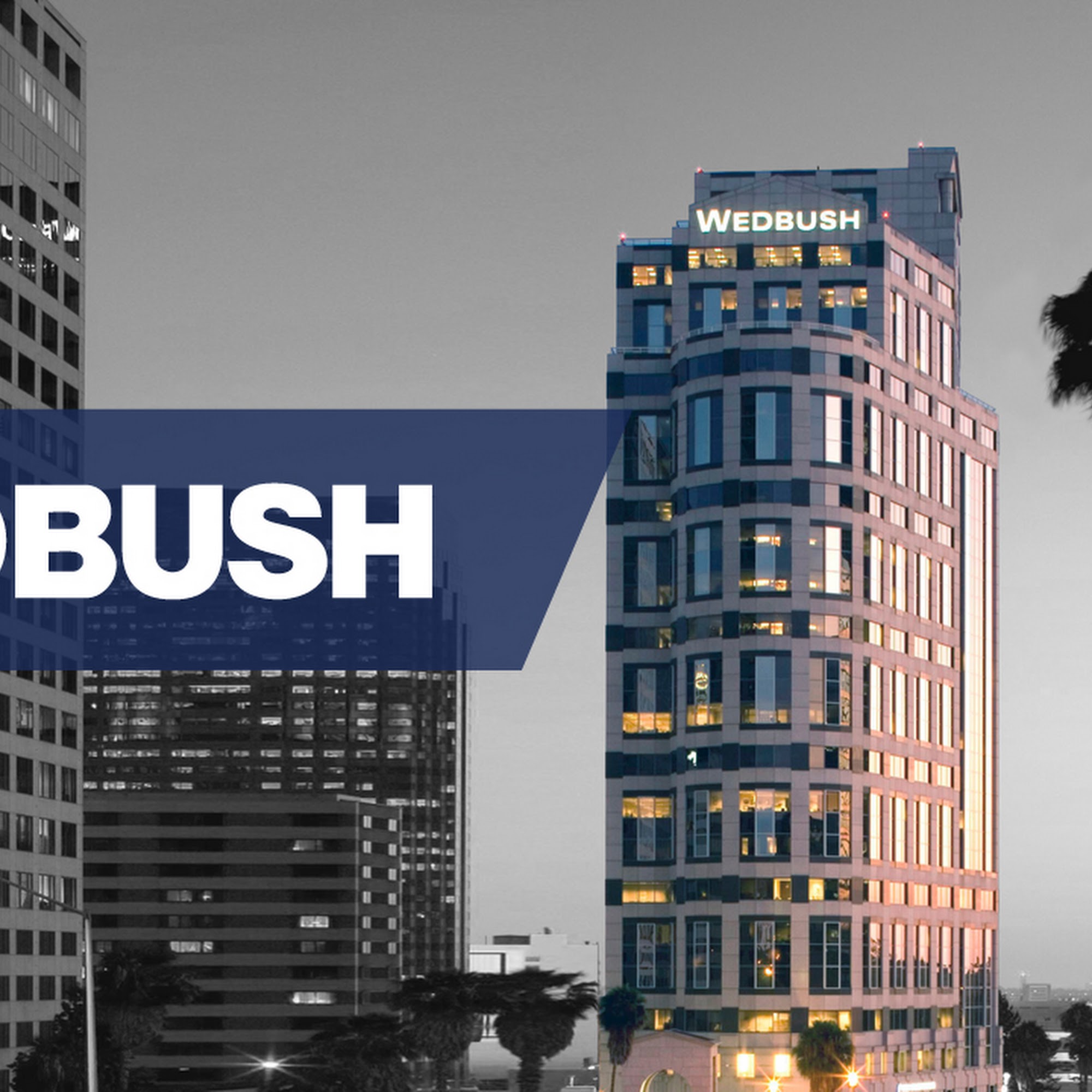 Wedbush Securities