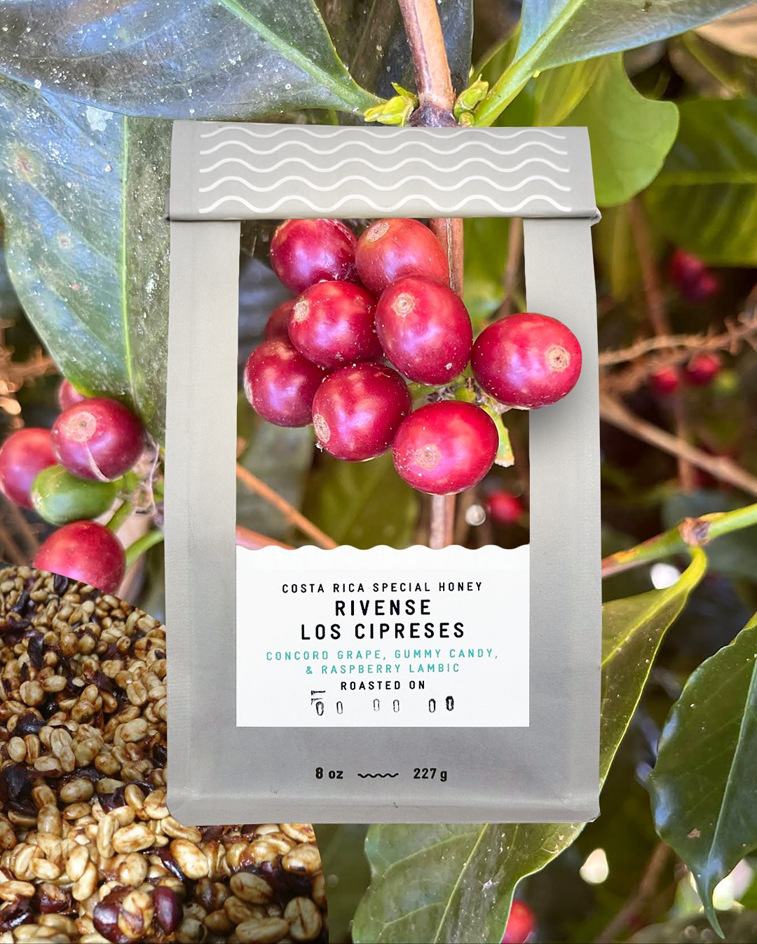 Andytown Coffee Roasters