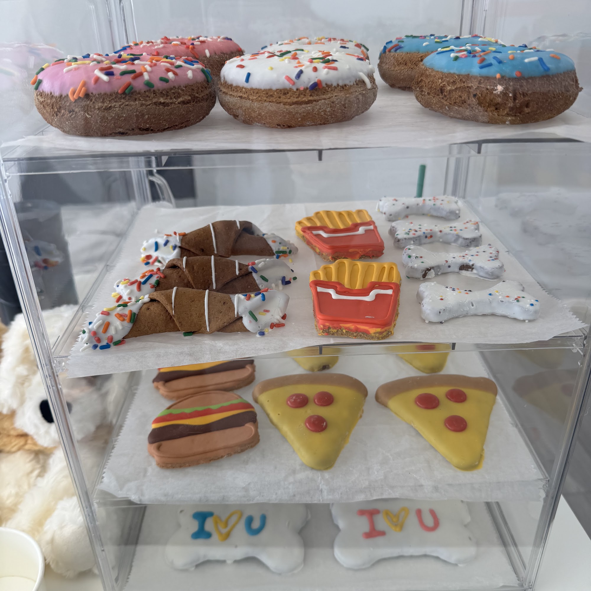 Summer puppy sf pet supplies