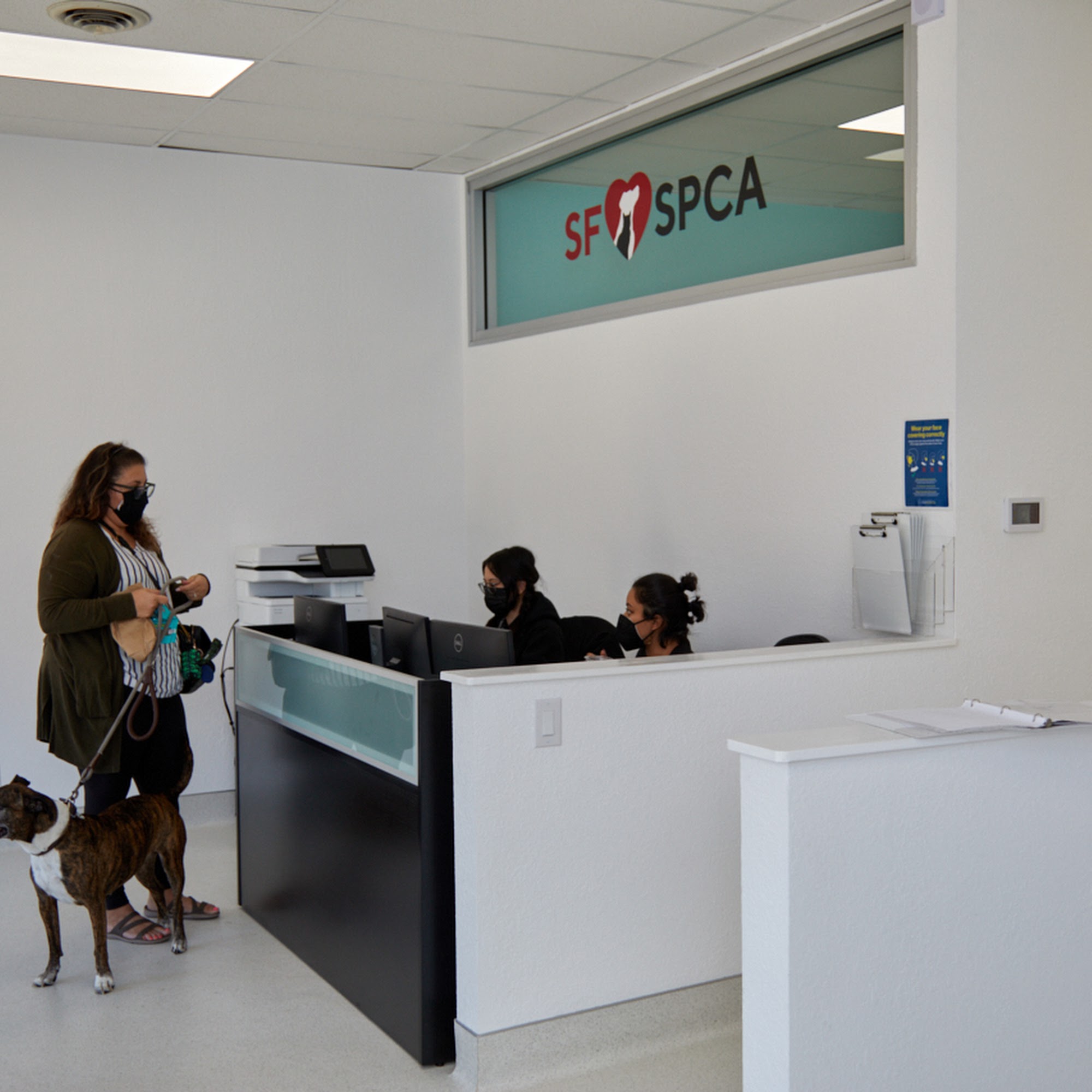 San Francisco SPCA Community Veterinary Clinic San Francisco